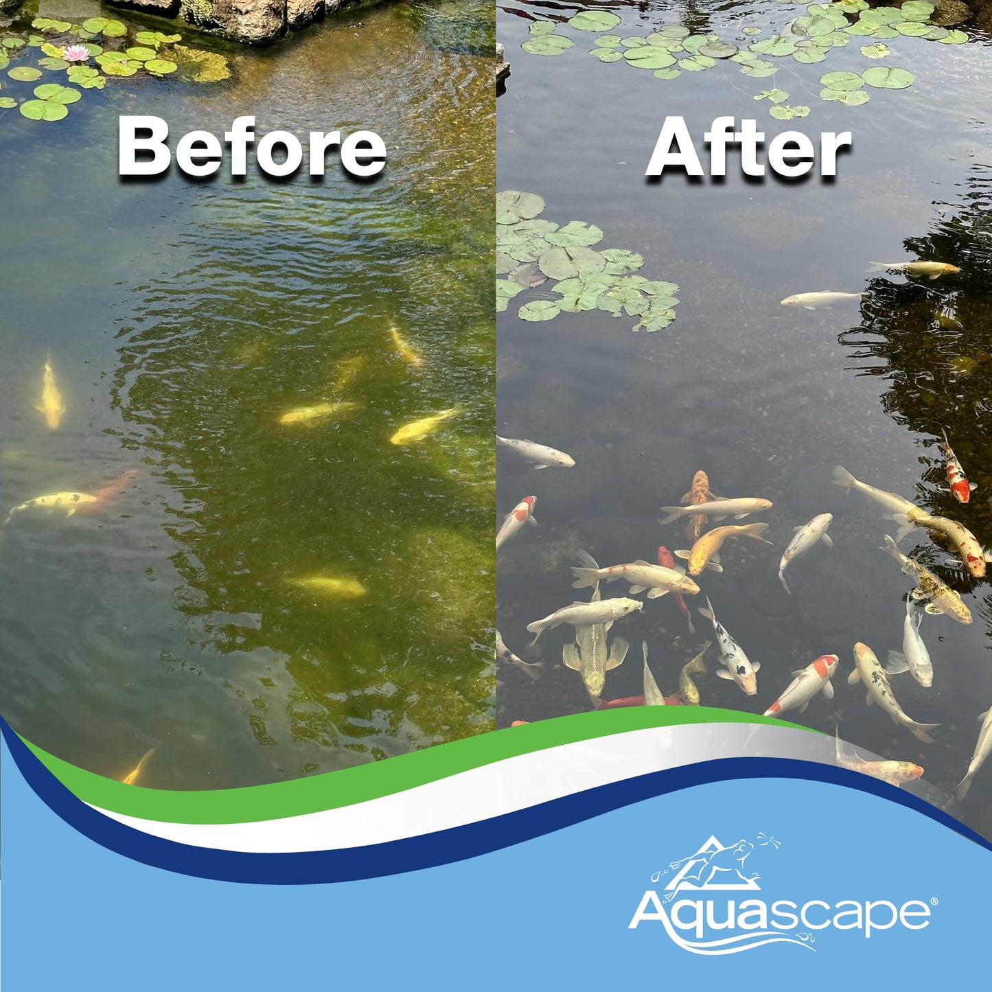 Aquascape Algaecide for Pond, Waterfall, and Water Features, 32-Ounce, 96024