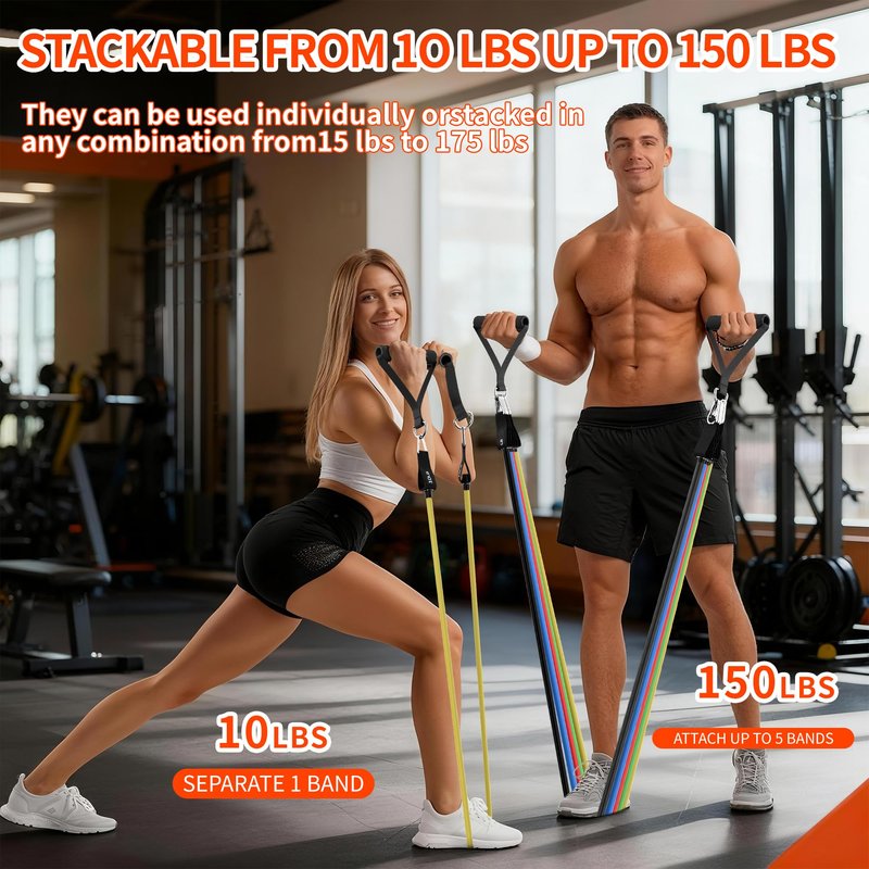 Resistance Bands, Exercise Bands Set for Working Out, Resistance Bands with Handles, Home Gym Workout Bands, Fitness Equipment for Men and Women Strength Training