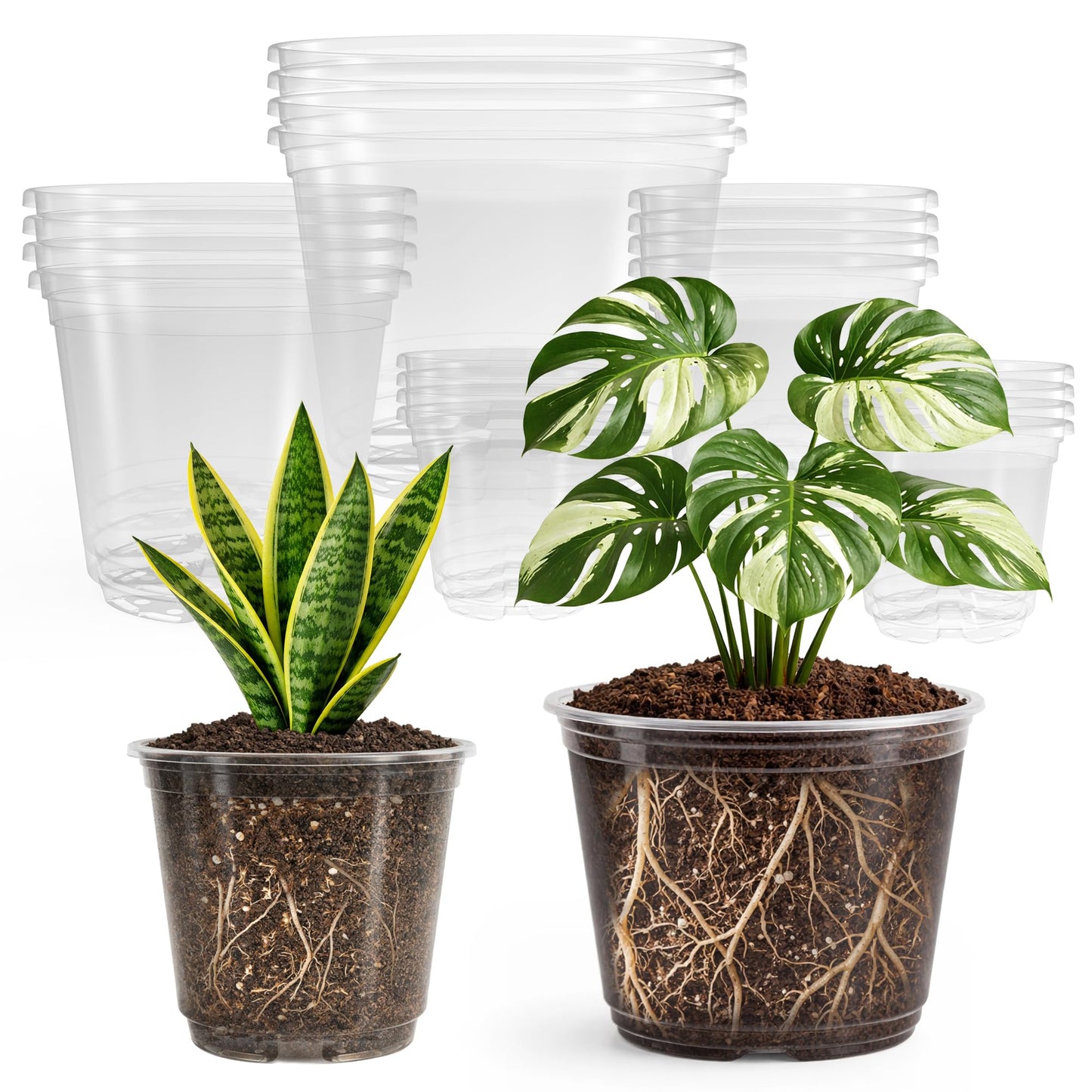 Bluepro 20 Pack 8/6/5/4/3.5 Inch Reinforced Large Clear Nursery Pots with Drainage Hole, Transparent Variety Pack Plastic Plant Pot for Vegetable Propagation, Root Cutting, Seed Starting