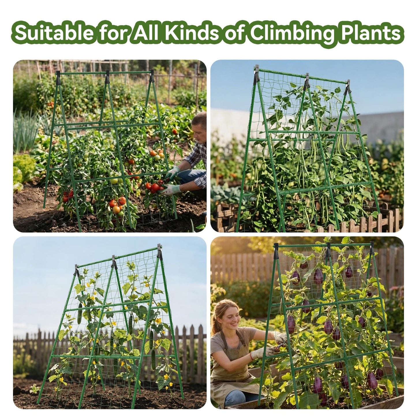 2 Pack Cucumber Trellis, 34"×48" Garden Trellis for Climbing Plants Outdoor, A-Frame Vegetable Trellis for Raised Bed, Support for Tomatoes, Squash, Zucchini, Vegetables & Flowers