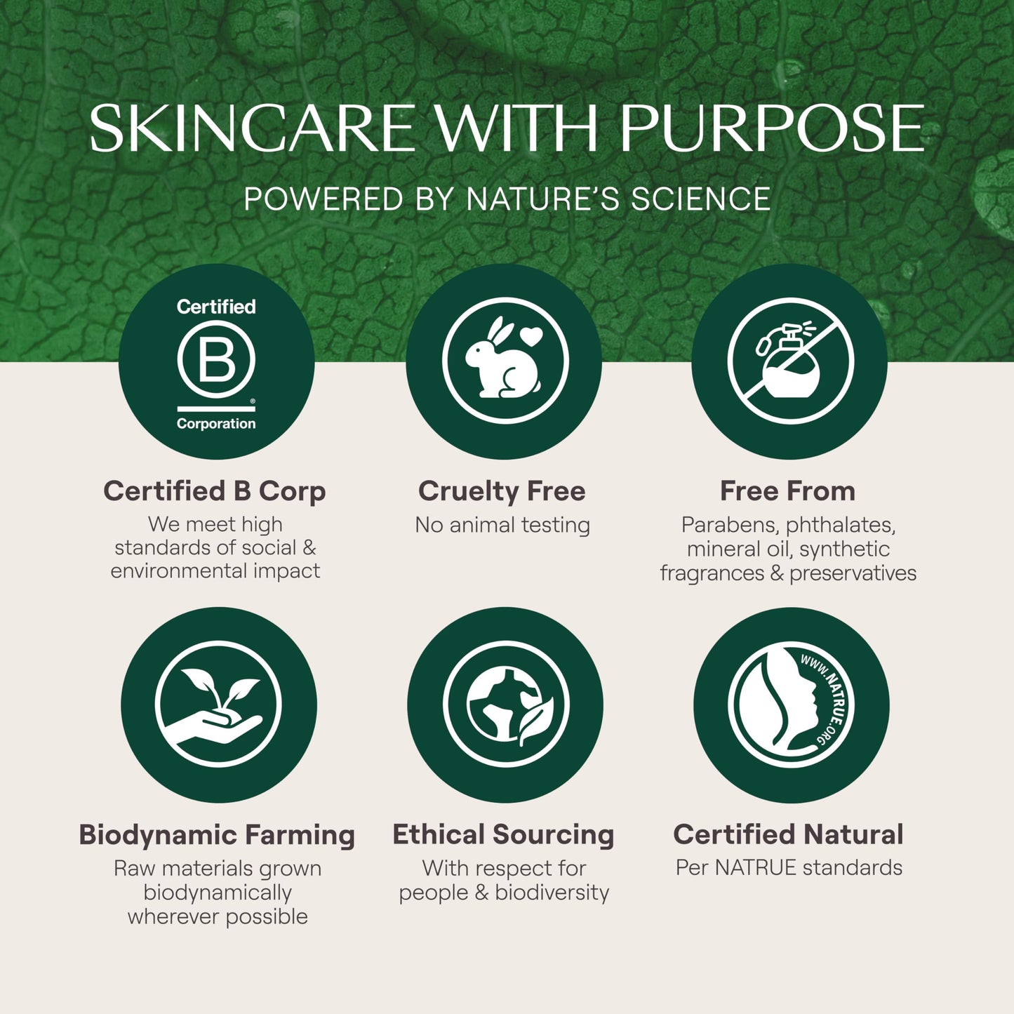 Weleda Skin Food Original Ultra-Rich Body Cream 2.5 Fluid Ounce, Plant Rich Hydrating Moisturizer with Pansy, Chamomile and Calendula