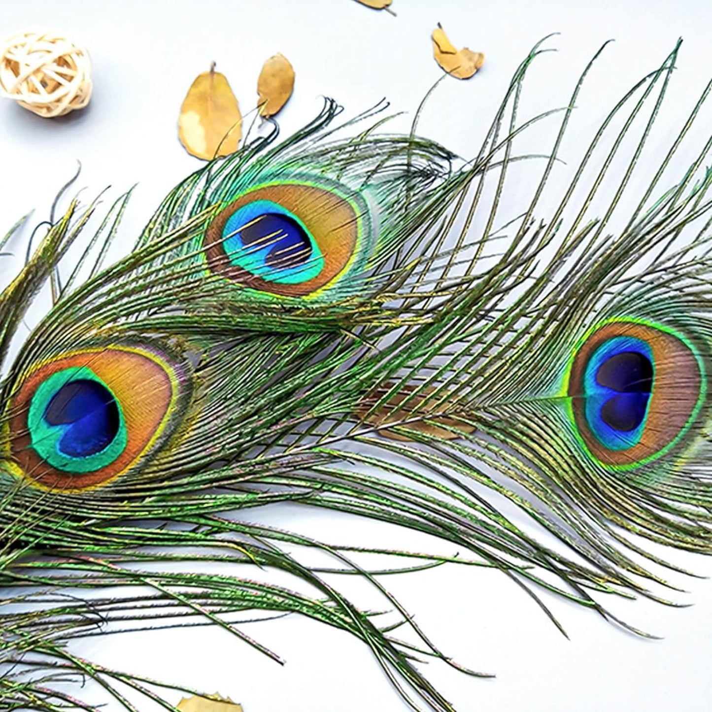 Piokio 50 pcs Natural Peacock Feathers in Bulk 19-22inch (58-68 cm) Bulk for DIY Craft, Wedding, Decoration