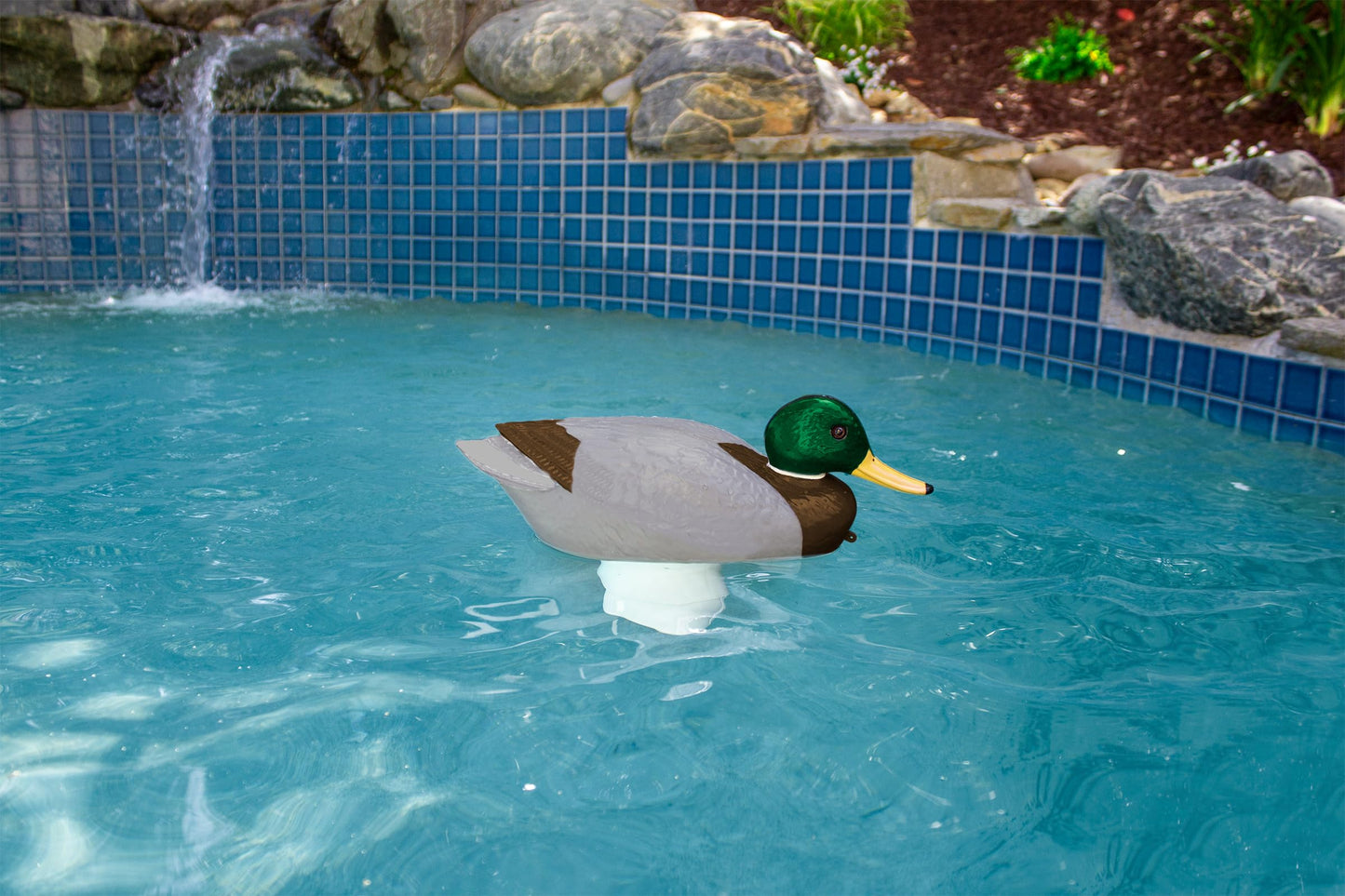 Poolmaster Adustable Chlorine Dispenser for Swimming Pools and Spas, Mallard