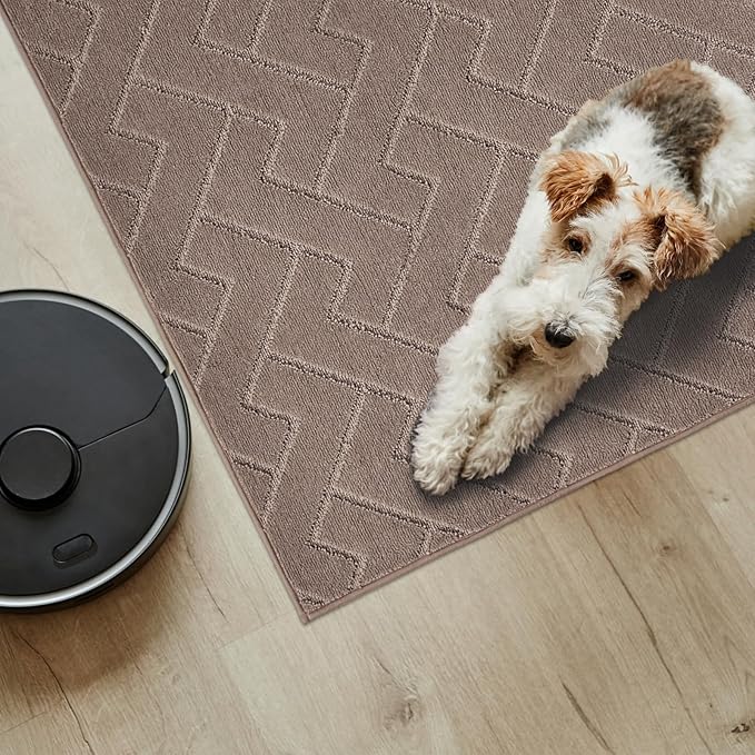 PURRUGS Easy Care Area Rug 4.5ft x 7ft, Non-Slip Machine Washable Entry Rug, Dog Door Mat, Stain Resistant Accent Rug for Hallway, Bedroom, Living Room and Mudroom, Grayish Brown