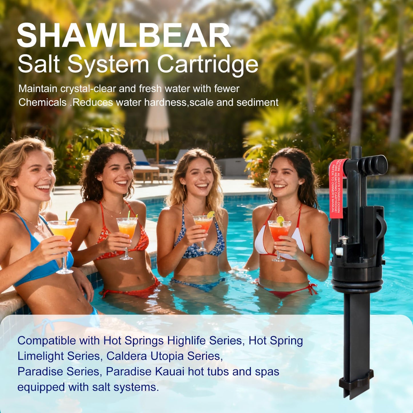 SHAWLBEAR Salt System Cartridge,Hot Springs Salt Cartridge,Saltwater Sanitizer Cartridge for Hot Tubs,Salt System Cartridge Replacement for Spas,Hot Tubs,1 Pack Lasts Up Three to six Months.