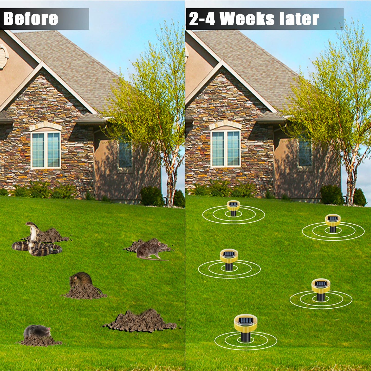 Snake Repellent for Yard 10 Pack, Ultrasonic Mole Repellent,Solar Powered Gopher Repeller Sonic Mole Deterrent Spikes, Snake Gopher Mole Vole Repellent Outdoor for Lawn Garden & Yard