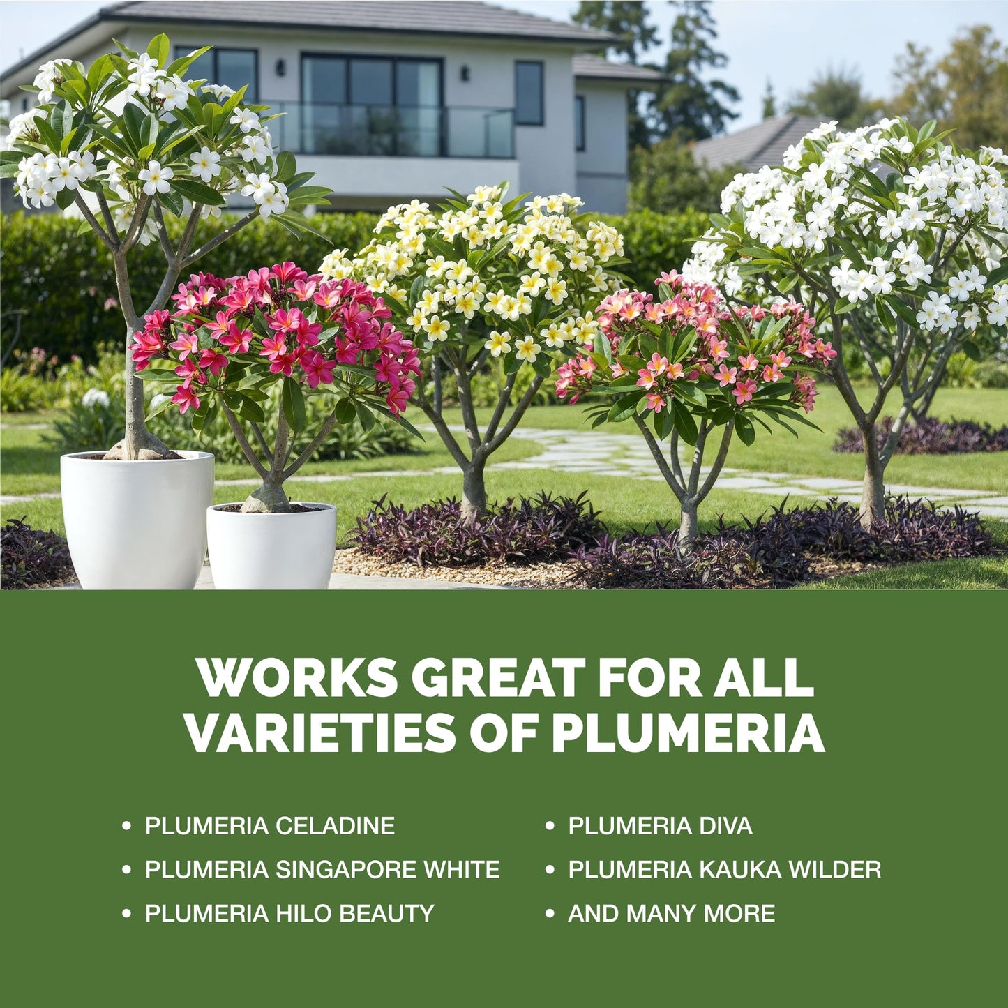 Plumeria Fertilizer – Liquid Plant Food for More Blooms, Healthy Tropical Growth & Stronger Root Development, 1 Gallon