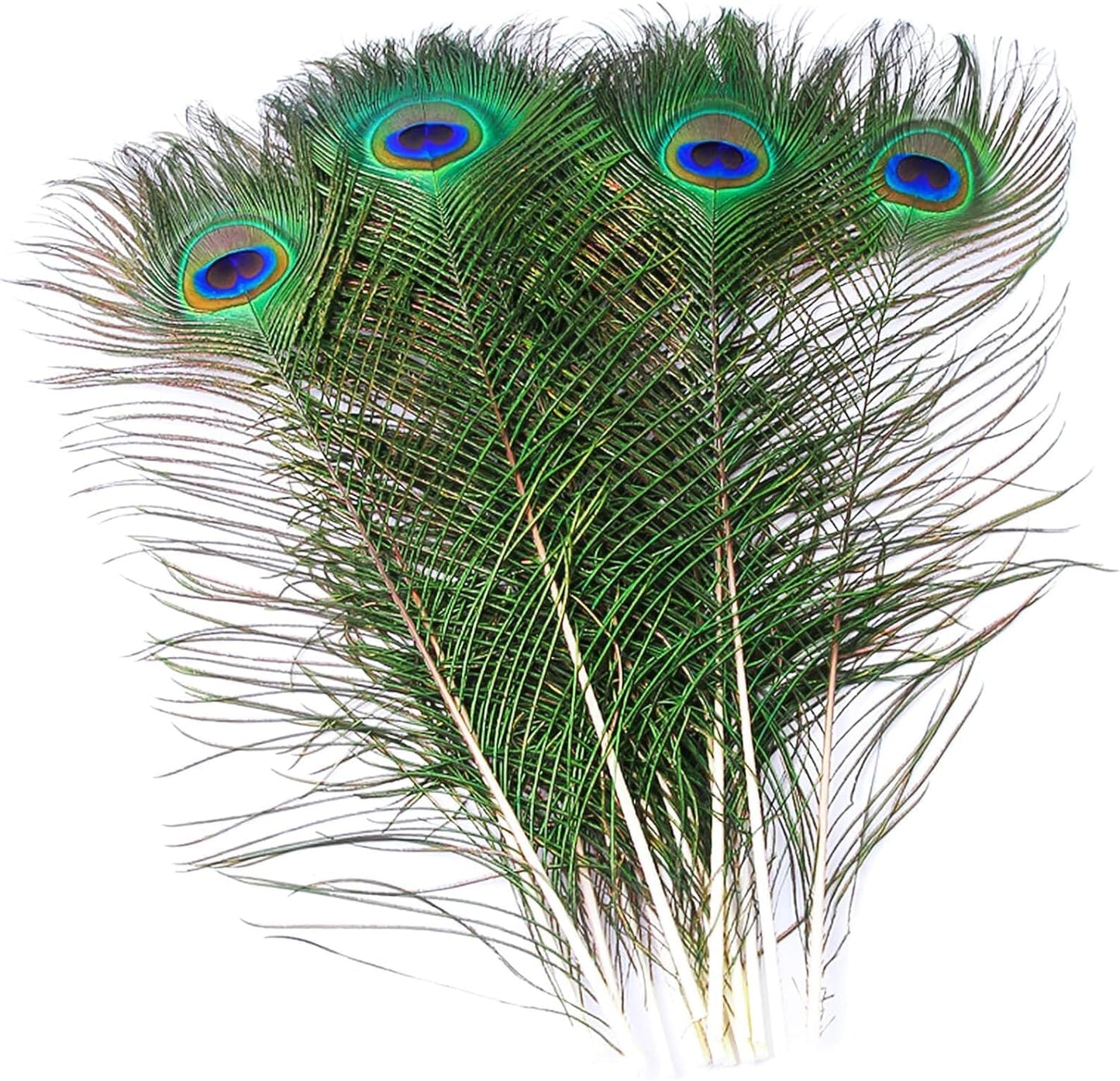 Piokio 50 pcs Natural Peacock Feathers in Bulk 19-22inch (58-68 cm) Bulk for DIY Craft, Wedding, Decoration