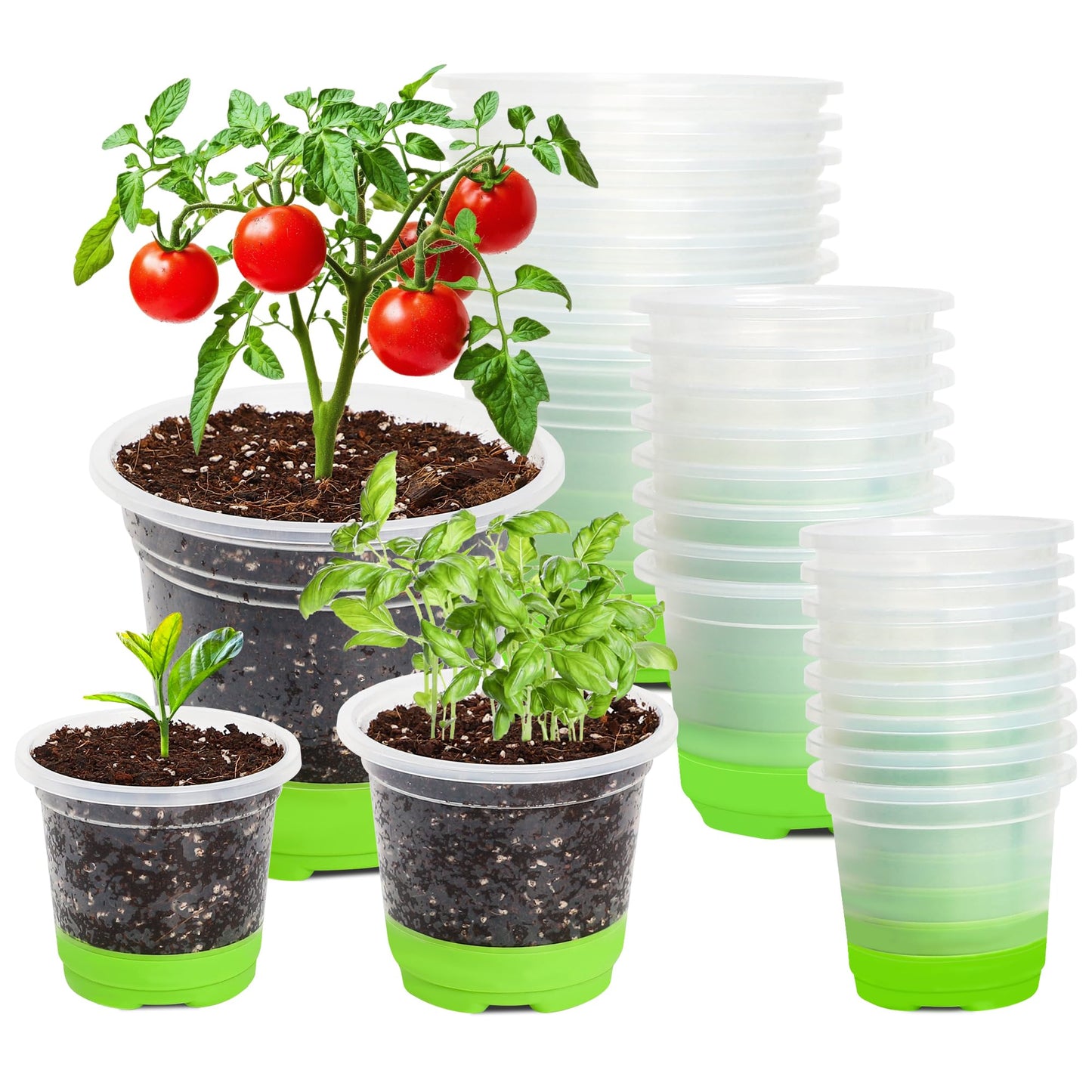 MIXC Thickened Clear Nursery Pots with Silicone Base for Easy Transplant 24 Packs 5/4/3.5 Inch, Variety Pack Plant Pot Reusable Seedling Pots for Vegetable Propagation, Root Cutting, Seed Starting