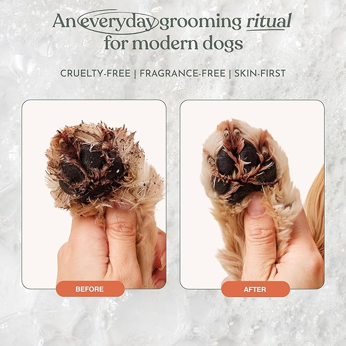 Dandylion Clean Paws Refill | No-Rinse Dog Paw Cleaner & Dog Paw Washer | Fragrance-Free, pH Balanced Foaming Cleanser with Silicone Bristle Brush | Designed for All Breeds & Sizes | 10 fl oz