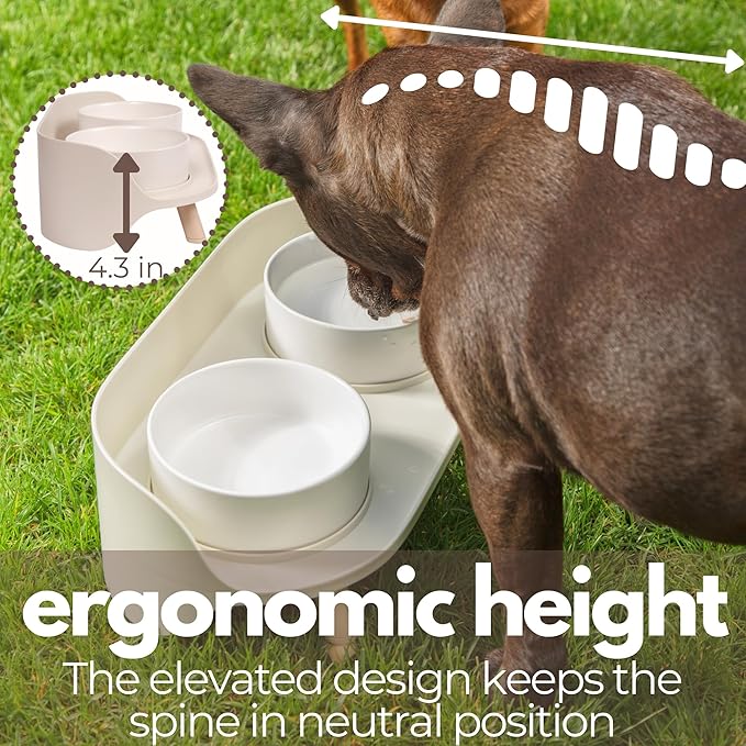 A4DOG Ceramic Dog Bowls with Stand - Elevated Dog Water and Food Bowl Set 13.5oz Cat & Dog Feeding Station Spill Proof Splash Proof Raised Pet Food Bowls for Dogs, No Mess Pet Feeder - Beige