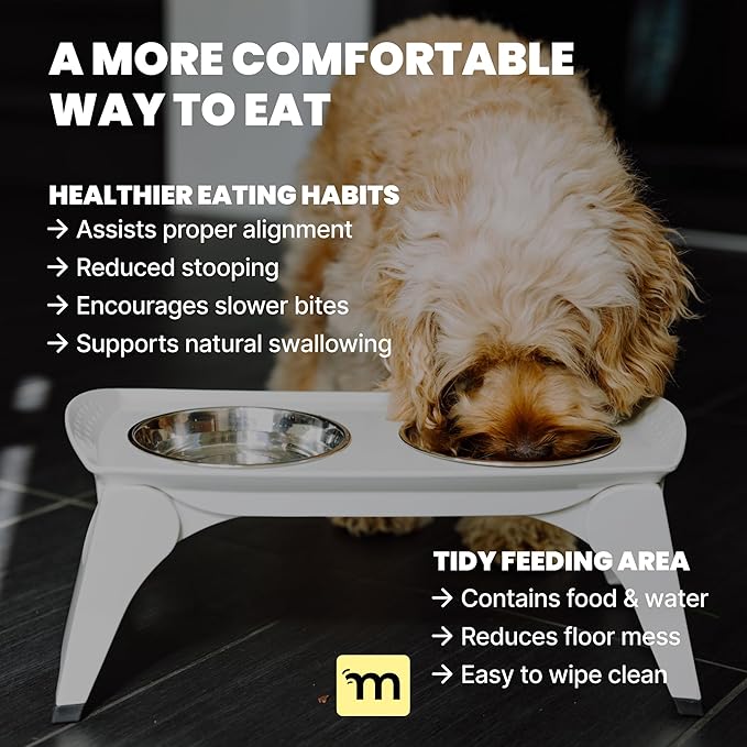 MalsiPree Elevated Dog Bowls for Small Dogs and Cats - 6.5" Raised Feeding Station with Spill-Proof Tray - Foldable Dog Bowl Stand with 2 Stainless Steel Bowls - Modern Scandinavian Pet Feeder, White
