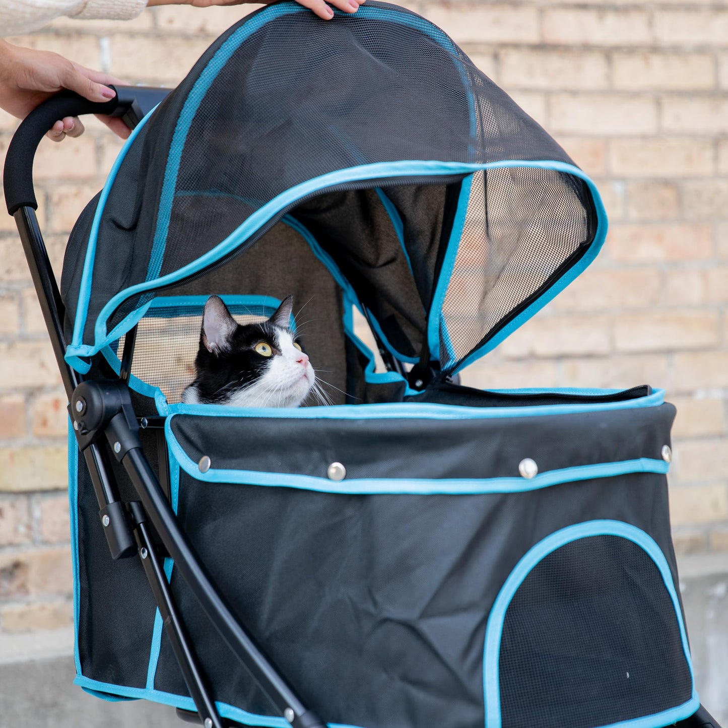 Carlson Pet Stroller, Includes 360 Degree Front Wheel Swivel, Rear Wheel Breaks, Reflective Trim, Mesh Panels, Umbrella and Mesh Canopy, Folds Easily to a Fraction of its Size,Black