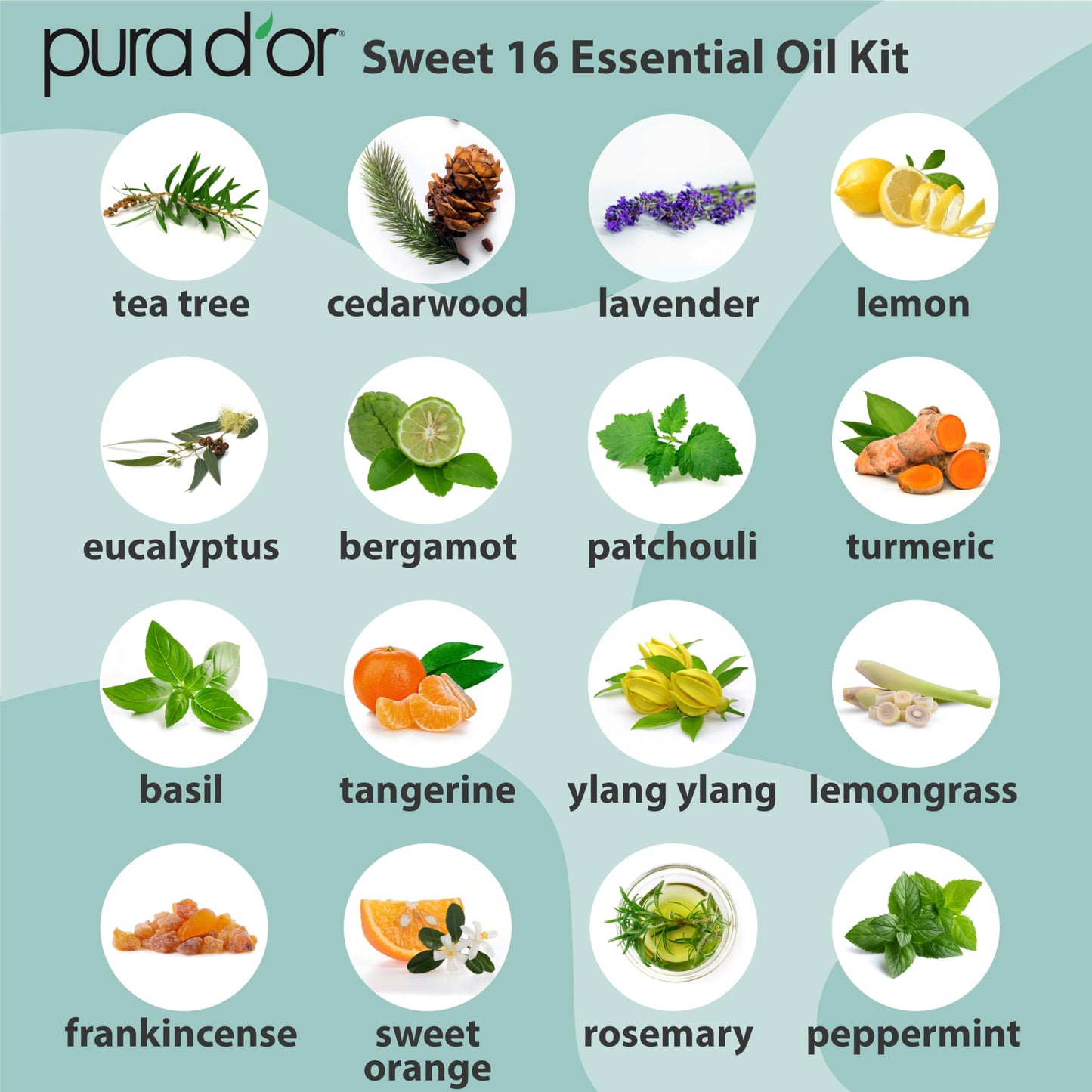 PURA D'OR Organic Sweet16 Essential Oils Set - 16x 10mL Wood Box Aromatherapy Gift Set - 100% Pure Therapeutic Grade for Relaxation and Wellness (Lavender, Rosemary, Turmeric, Ylang Ylang & More)