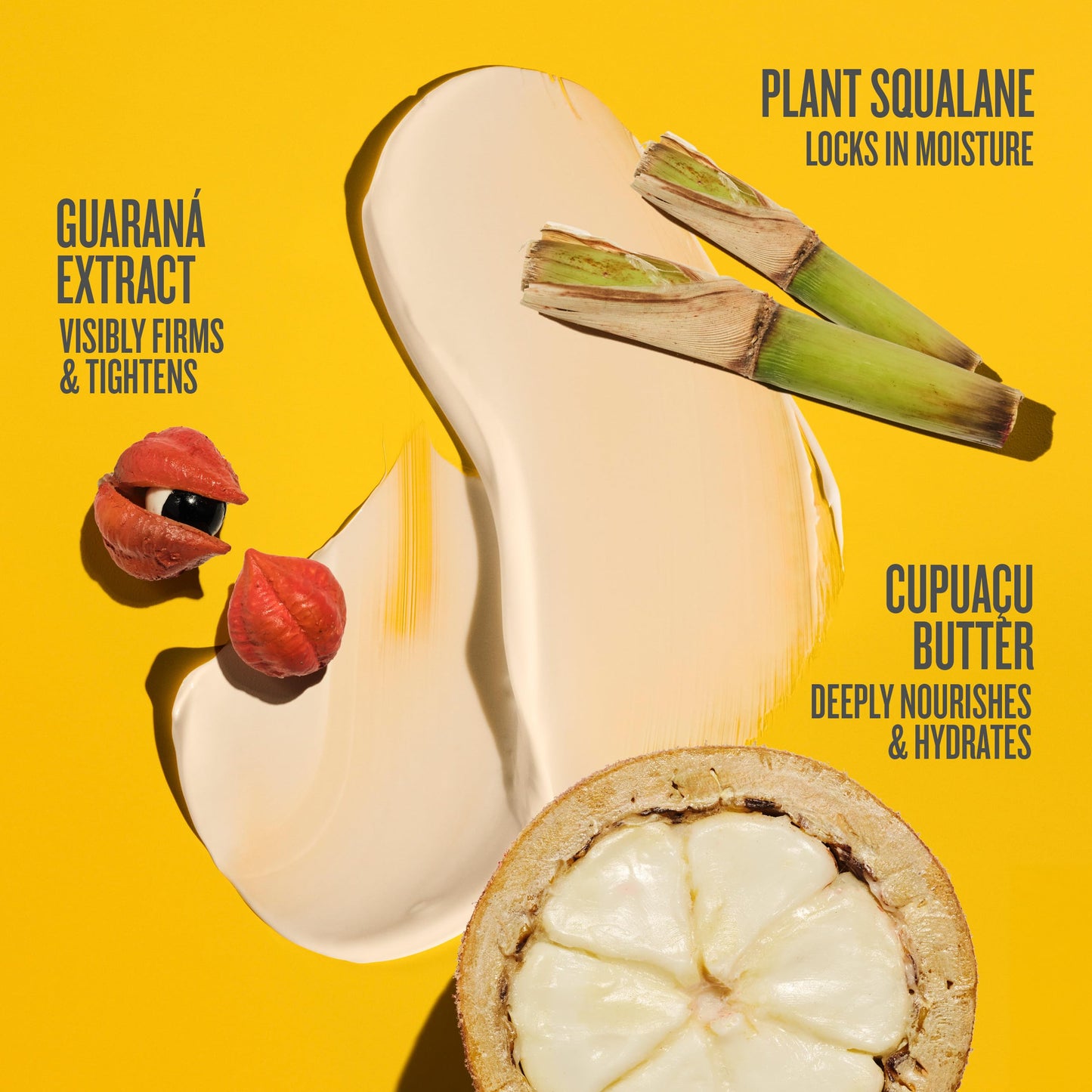 Sol de Janeiro Brazilian Bum Bum Cream Set | Full Size and Travel Size Bundle, Amazon Exclusive
