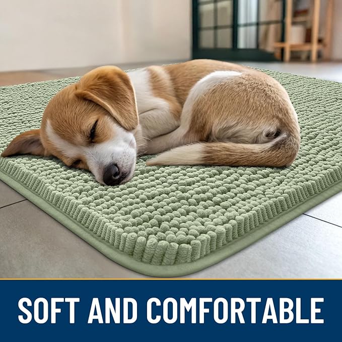 Smiry Dog Door Mat for Muddy Paws 24x16, Absorbs Moisture and Dirt Doormat, Non-Slip Washable Quick Dry Chenille Front Door Mat Indoor Entrance, Entryway Carpet for Inside Floor, Sage Green