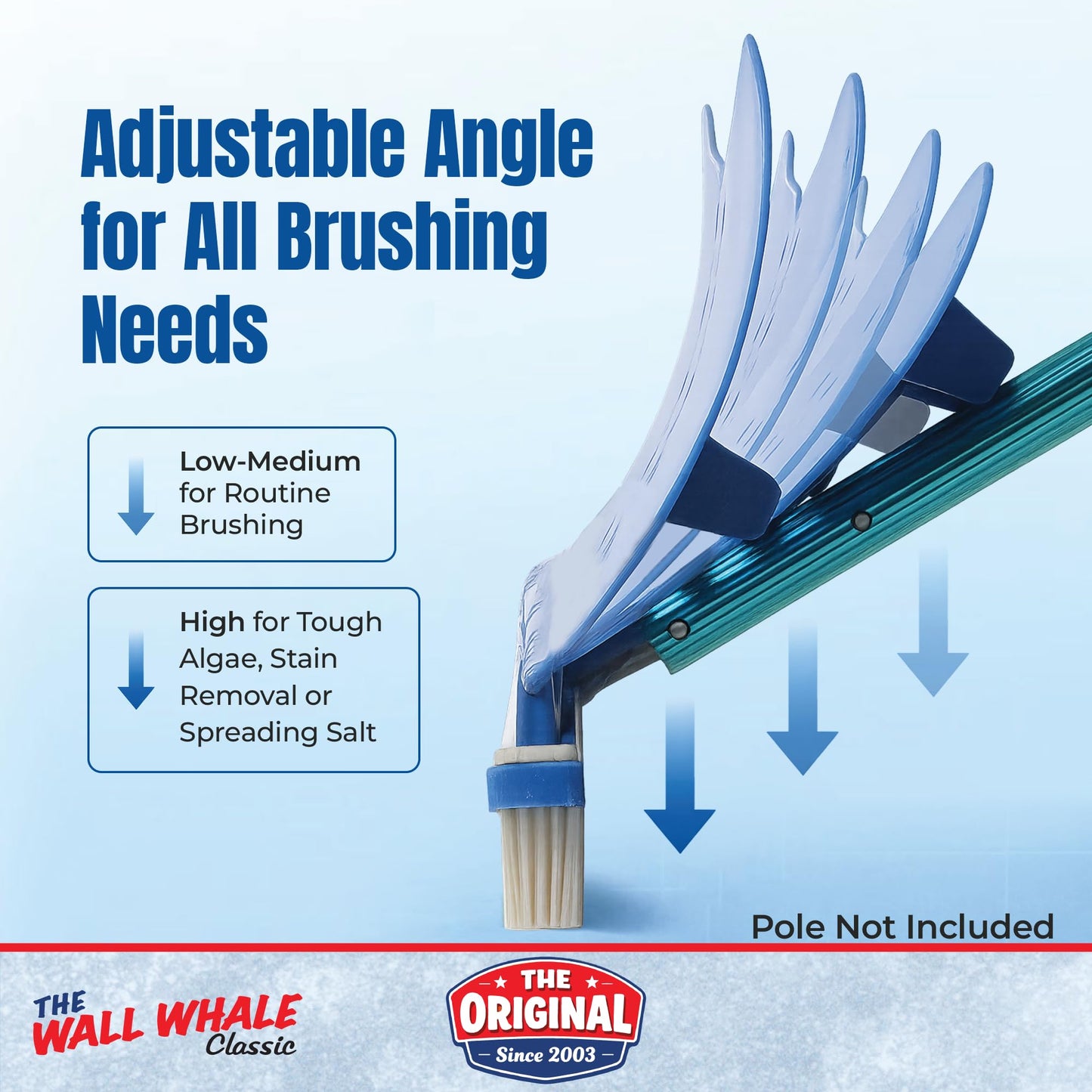 Wall Whale 18" Swimming Pool Brush Head | More Than 10x the Brushing Force | Algae Removal & Weekly Brushing | Attaches to Your Existing Pole