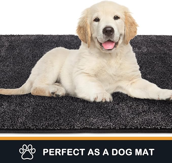PURRUGS Dirt Trapping Door Mat 48" x 48", Non-Slip Machine Washable Entryway Rug, Dog Doormat, Indoor Front Door Mat, Super Absorbent Entry Rug for Muddy Shoes & Paws, Charcoal