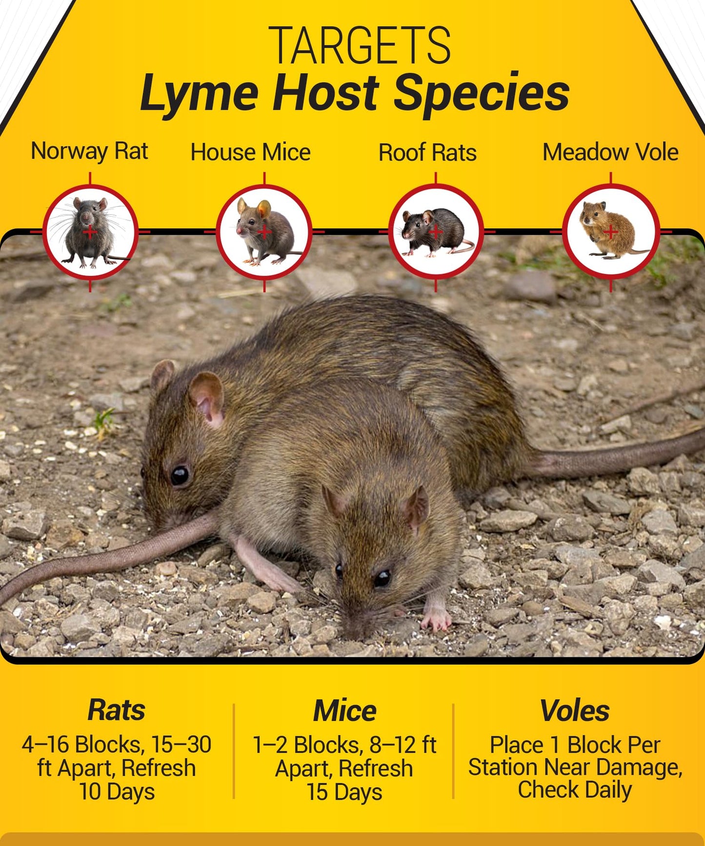 Kaput Rodent & Tick Bait Blocks, 4Lb - Powerful Warfarin & Fipronil Rat Bait Blocks for Rat Control and Their Blacklegged Ticks - Epa Approved Rodent Killer for Long-Lasting Protection