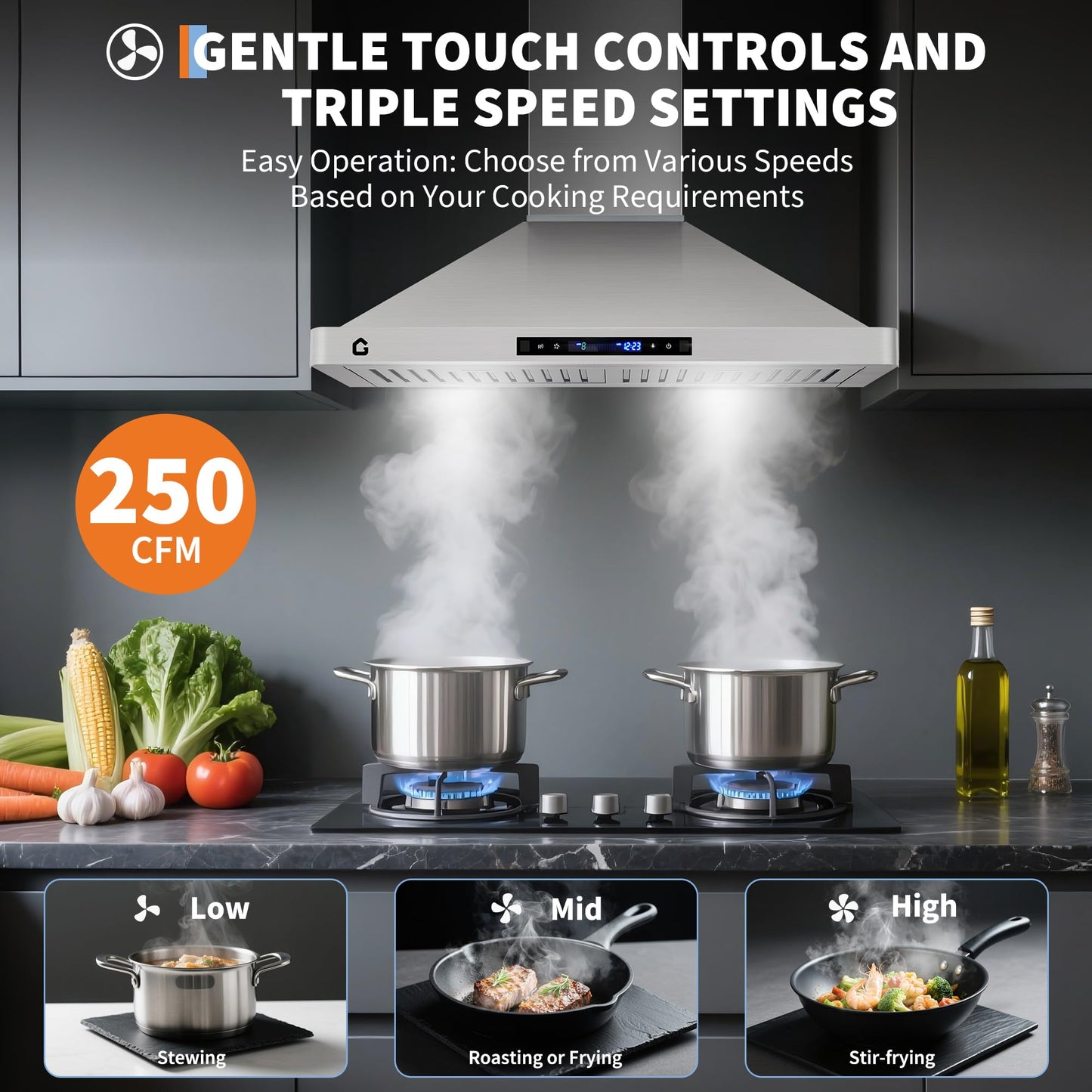 30 Inch Range Hood with 250 CFM Fan, Convertible Duct/Ductless Ventilation, Touch Panel & Remote Control, Quiet 3-Speed Fan, Convertible Duct Design, Dishwasher-Safe Filters