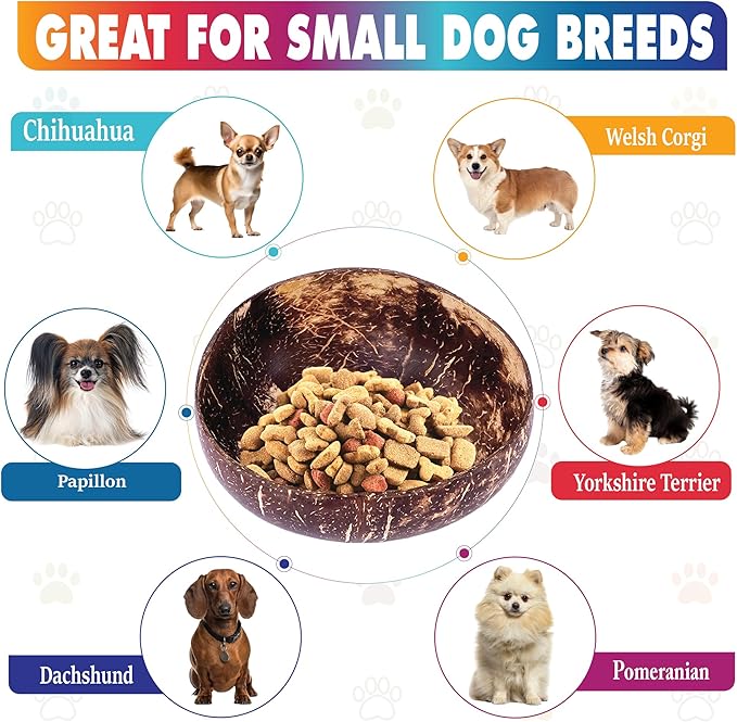 Dog Bowl for Cats and Small Dogs - All-Natural, Polished Coconut Shell Bowl with Wood Stand - Elevated/Raised 5-inch Total Height - Food-Contact Suitable