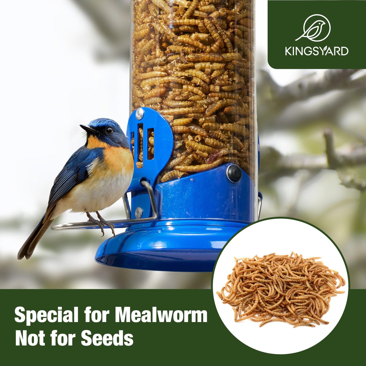 Kingsyard Upgraded Bluebird Feeder for Outdoors Hanging, Metal Mealworm Tube Bird Feeder with Widen Perch for Wild Birds, Squirrel Chew Proof, Easy to Refill & Clean(Blue)