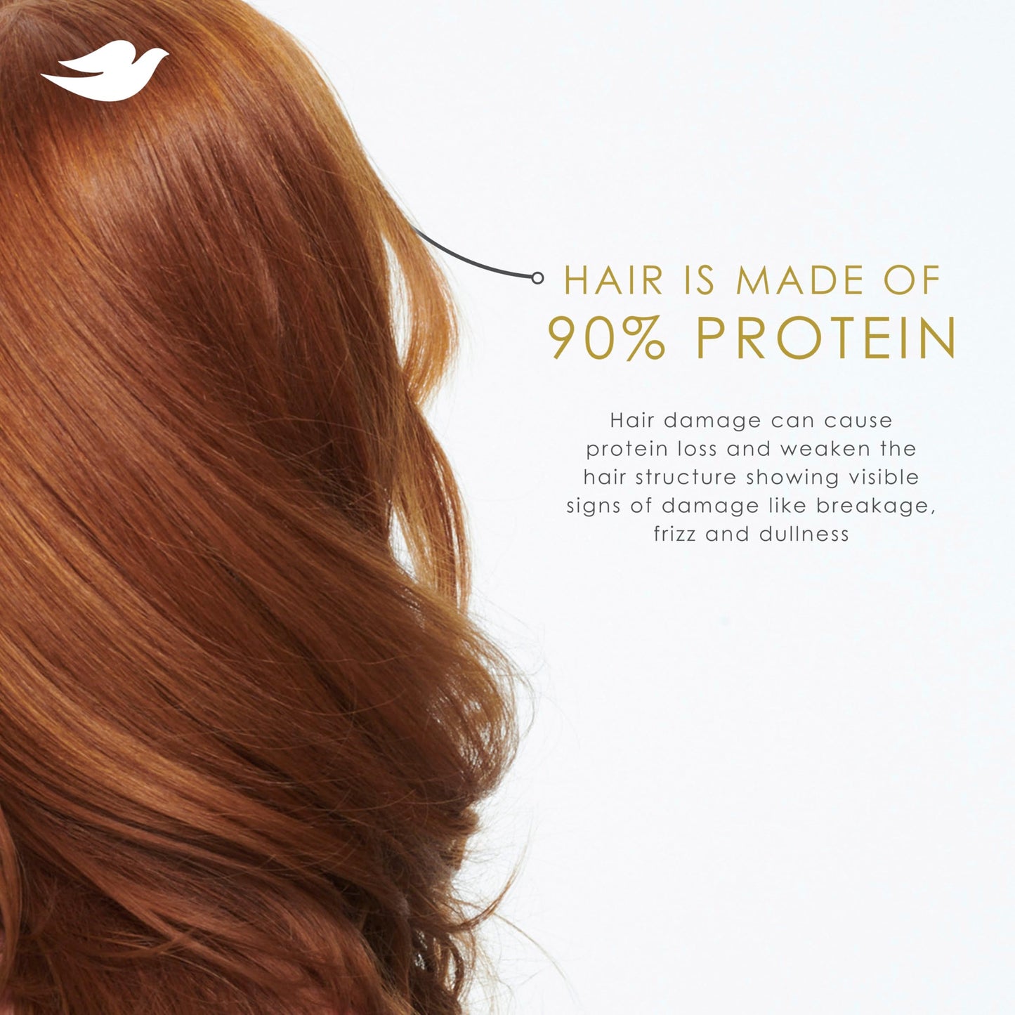 Dove Conditioner Intensive Repair 4 count for Damaged Hair Bio-Protein Care Technology and Amino Serum 12 oz