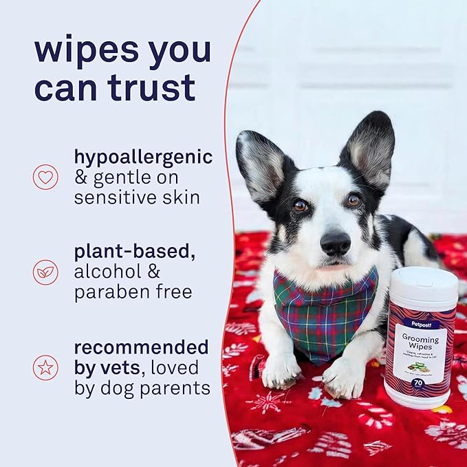 Petpost Large Grooming Wipes for Dogs | 70 Count Deodorizing Dog Cleaning Wipes with Coconut Extract & Aloe | Gentle Pet Wipes with Cherry Blossom Scent for Full-Body Grooming