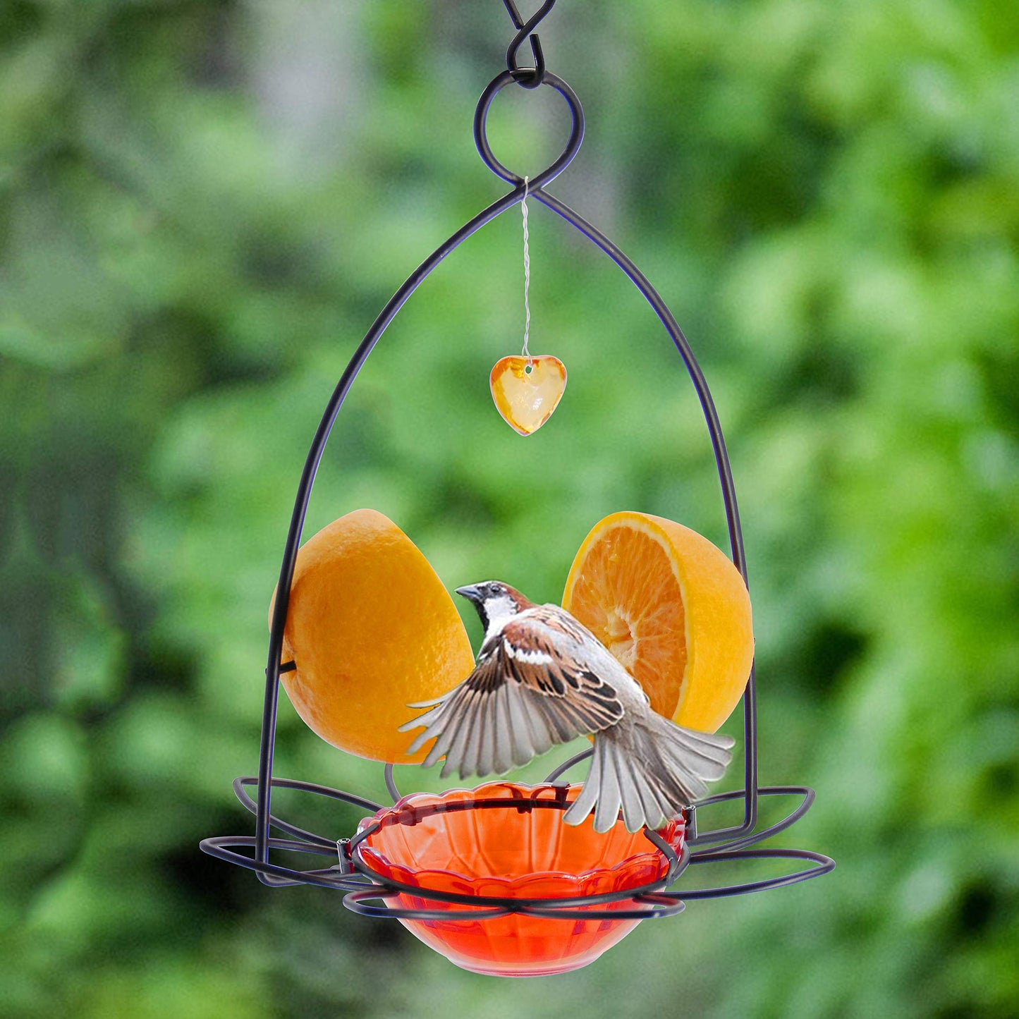 FORUP Oriole Bird Feeder, Orange Fruit Oriole Feeder
