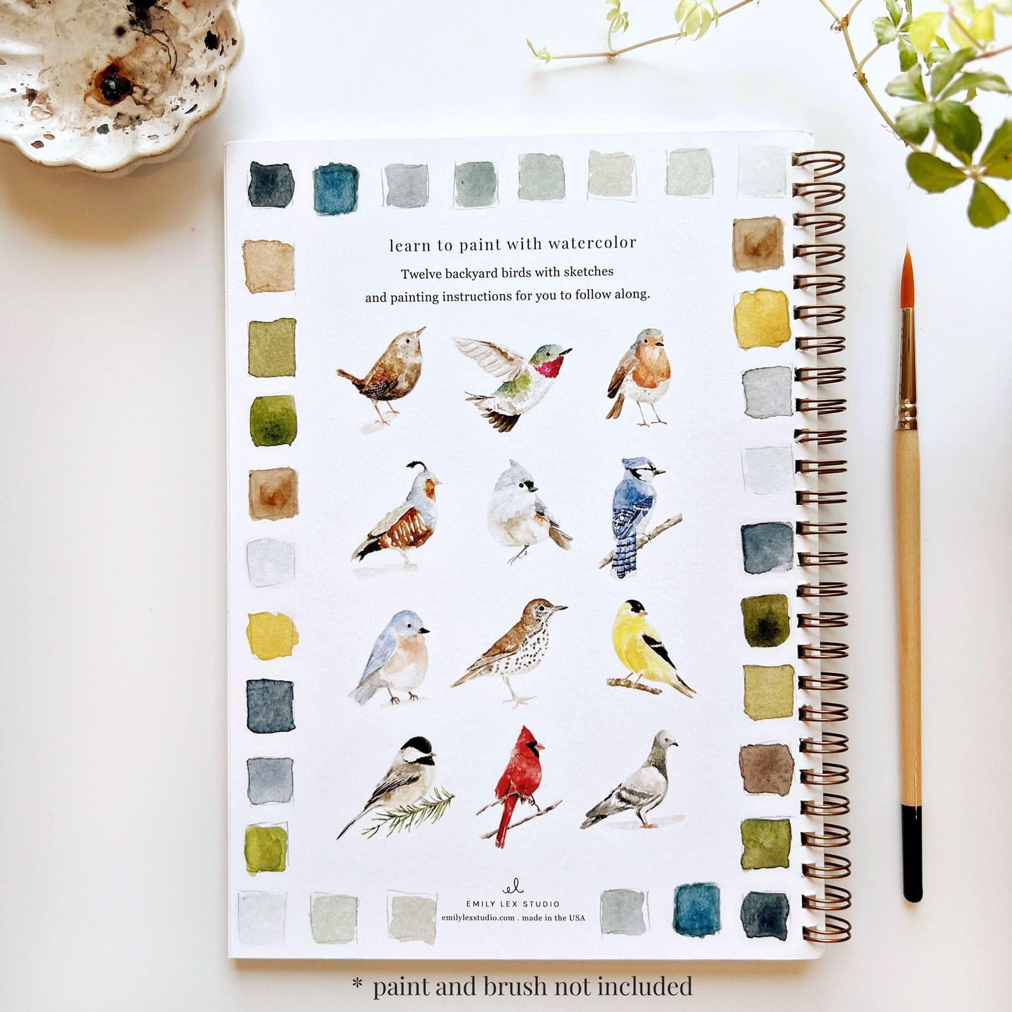 Birds Watercolor Workbook by Emily Lex Studio, 12 Beginner Friendly Sketched Illustrations, Lay Flat Spiral Pages, 6.5 x 9 inch, 120lb Watercolor Paper