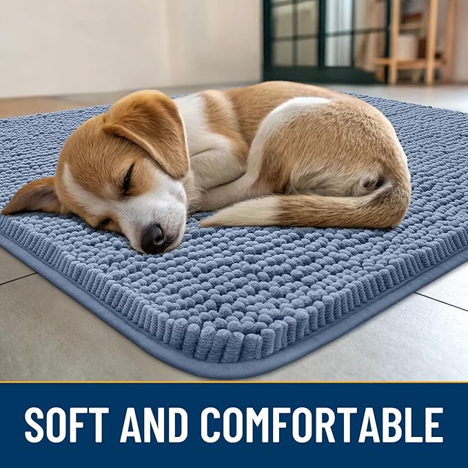 Smiry Dog Door Mat for Muddy Paws 40x32, Absorbs Moisture and Dirt Doormat, Non-Slip Washable Quick Dry Chenille Front Door Mat Indoor Entrance, Entryway Carpet for Inside Floor, Airy Blue