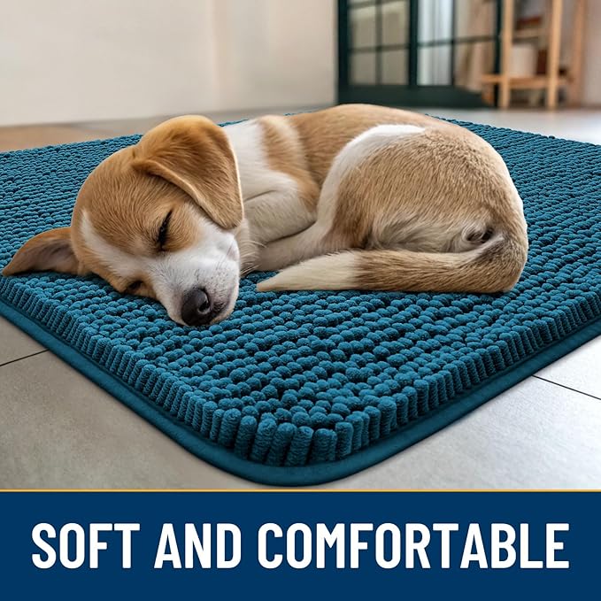 Smiry Dog Door Mat for Muddy Paws 24x16, Absorbs Moisture and Dirt Doormat, Non-Slip Washable Quick Dry Chenille Front Door Mat Indoor Entrance, Entryway Carpet for Inside Floor, Atlantic Blue
