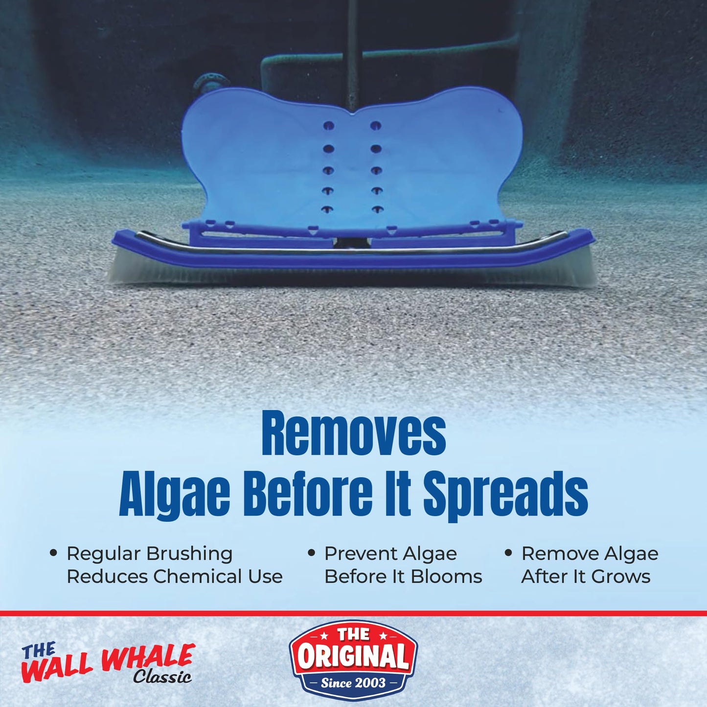 Wall Whale 18" Swimming Pool Brush Head | More Than 10x the Brushing Force | Algae Removal & Weekly Brushing | Attaches to Your Existing Pole