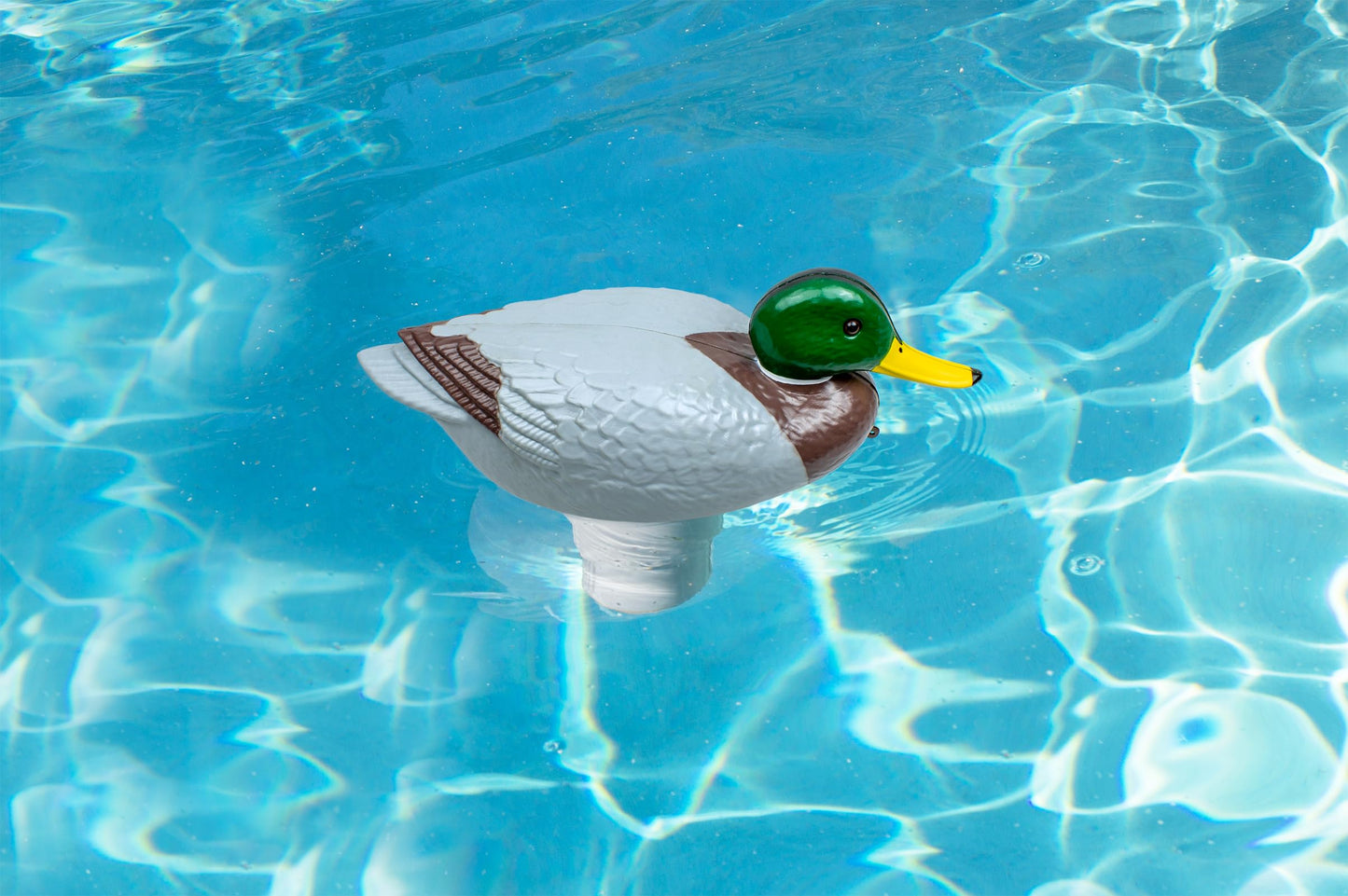 Poolmaster Adustable Chlorine Dispenser for Swimming Pools and Spas, Mallard