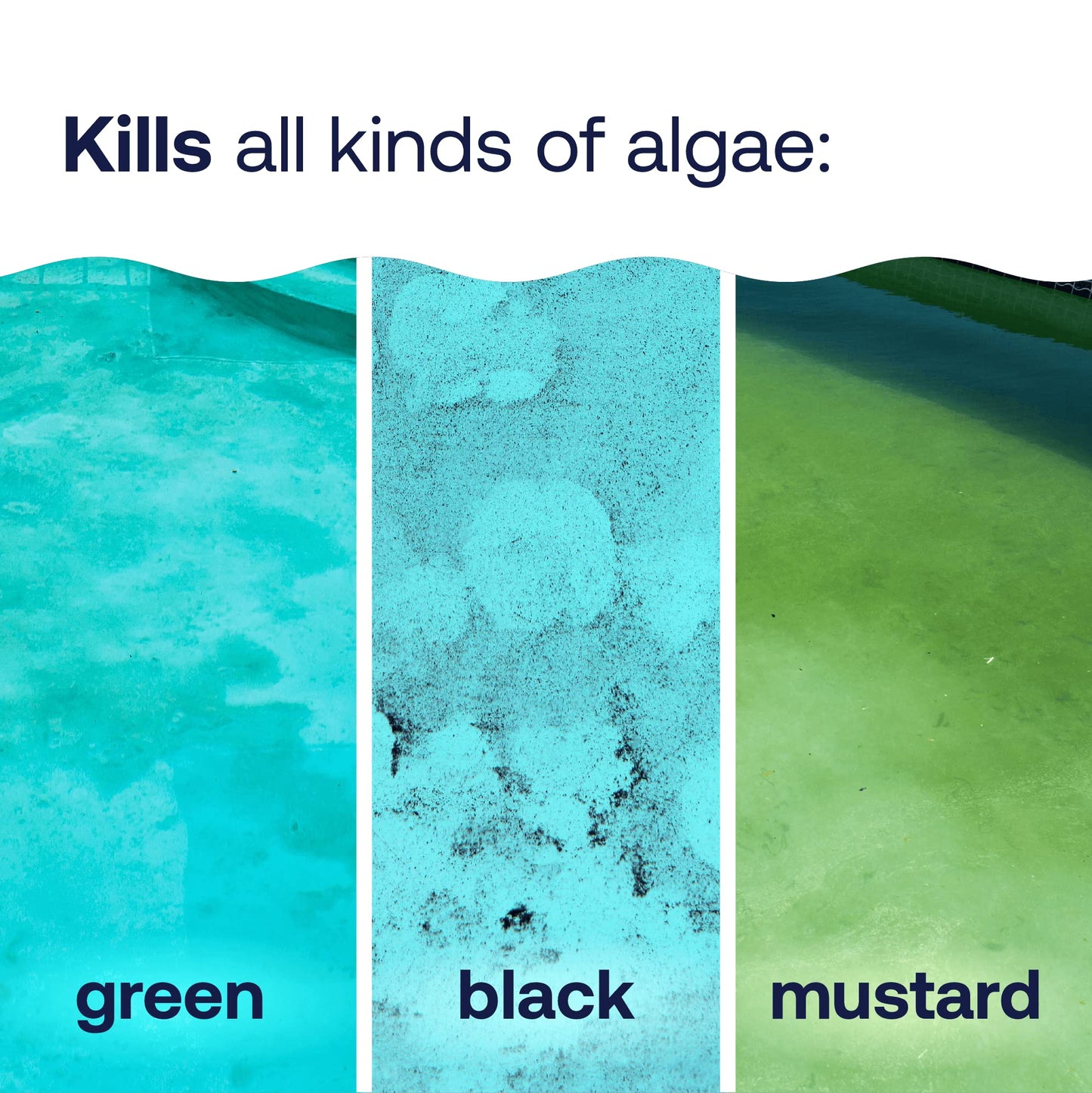 HTH 67084 Pool Care Algae Guard Advanced, All Algae Eliminator for Swimming Pools - Fast-Acting, Destroys & Prevents Green, Black & Mustard Algae, Keeps Pool Water Crystal Clear, 32 fl oz