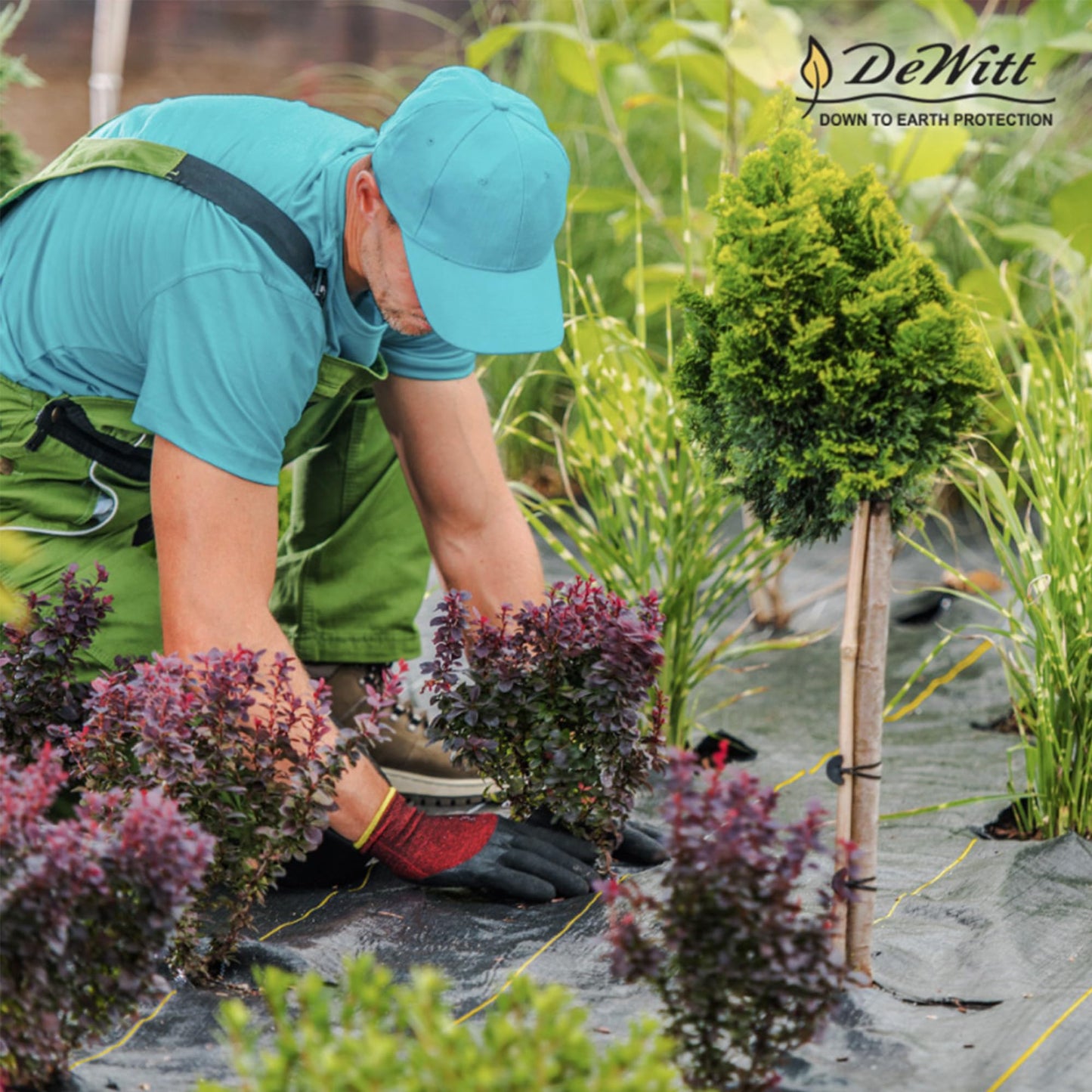 Dewitt 2-Pack Pro-5 Weed Barrier Fabric 5 oz, 4 x 250 Feet – Heavy-Duty Woven Landscape Ground Cover Mat for Raised Garden Bed, Greenhouse Gardening, Outdoor Landscaping, and Commercial Planting