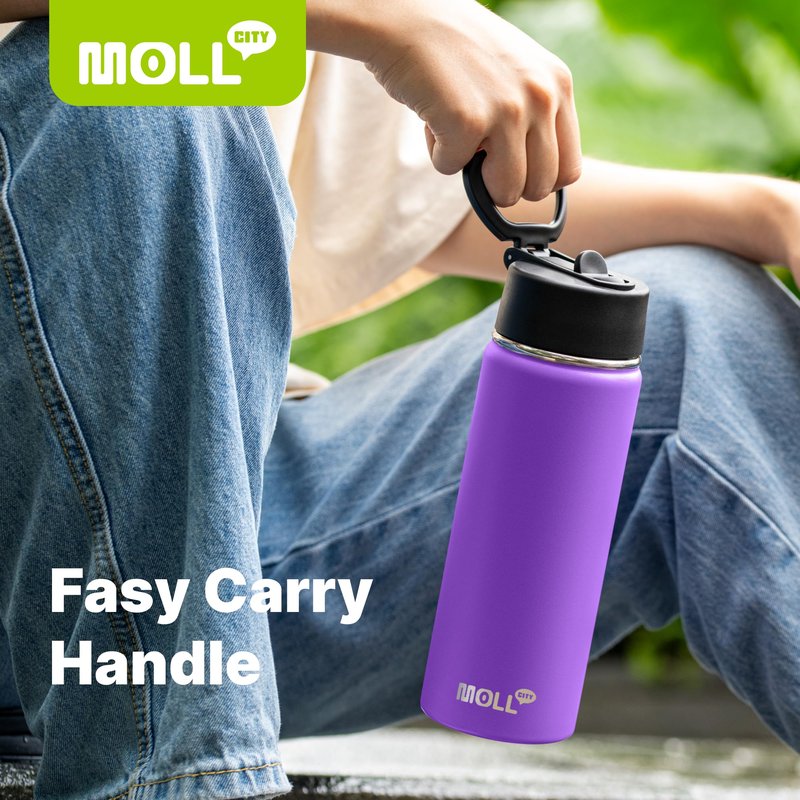 Mollcity 12 oz Water Bottle for Kids-Small Insulated Water Bottle with Straw-Stainless Steel Double Wall Vacuum Sports Water Bottles for School (Purple)