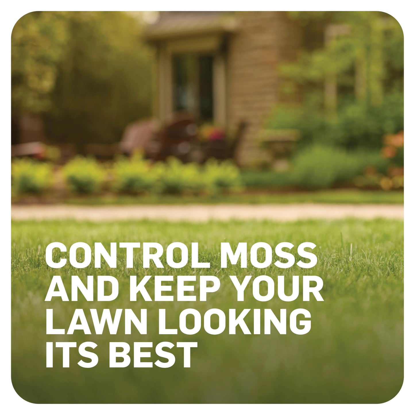 Scotts MossEx, Moss Killer for Lawns, Easy-to-Use Shaker Jug, Contains Fertilizer to Green Grass, 4.59 lbs.