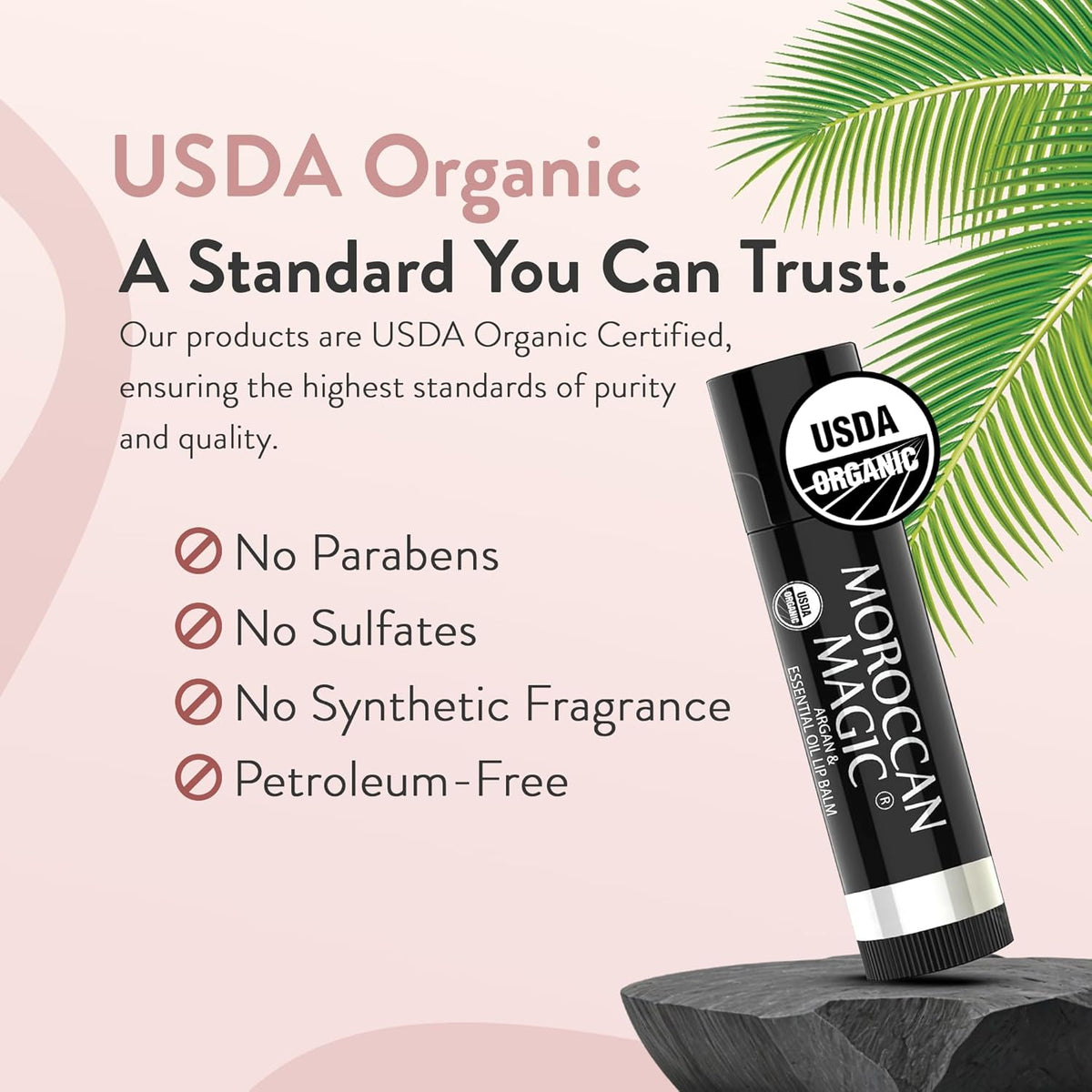 Moroccan Magic Organic Coconut Almond Lip Balm 3 Pack | Ultra-Hydrating Argan & Essential Oil Lip Moisturizer + Vitamin E | Natural Chapstick for Dry Lips | Smooth, Non-Toxic | Organic Lip Balm