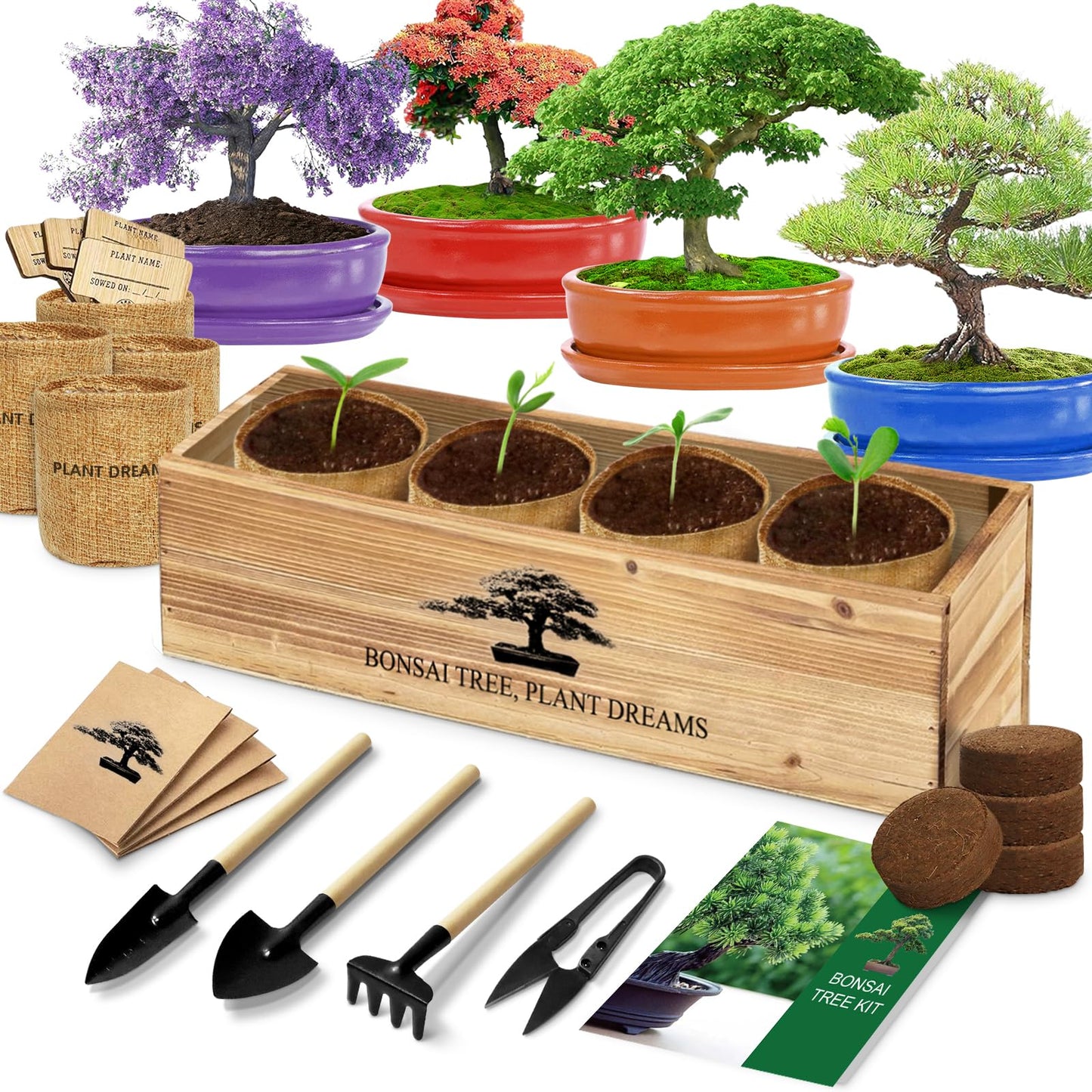 Bonsai Tree Kit, Bonsai Starter Kit with Seeds & Tools, Tree Live Plants Indoor, Gardening Gifts for Women Men Mom Father Plant Lover, Birthday Gifts for Women