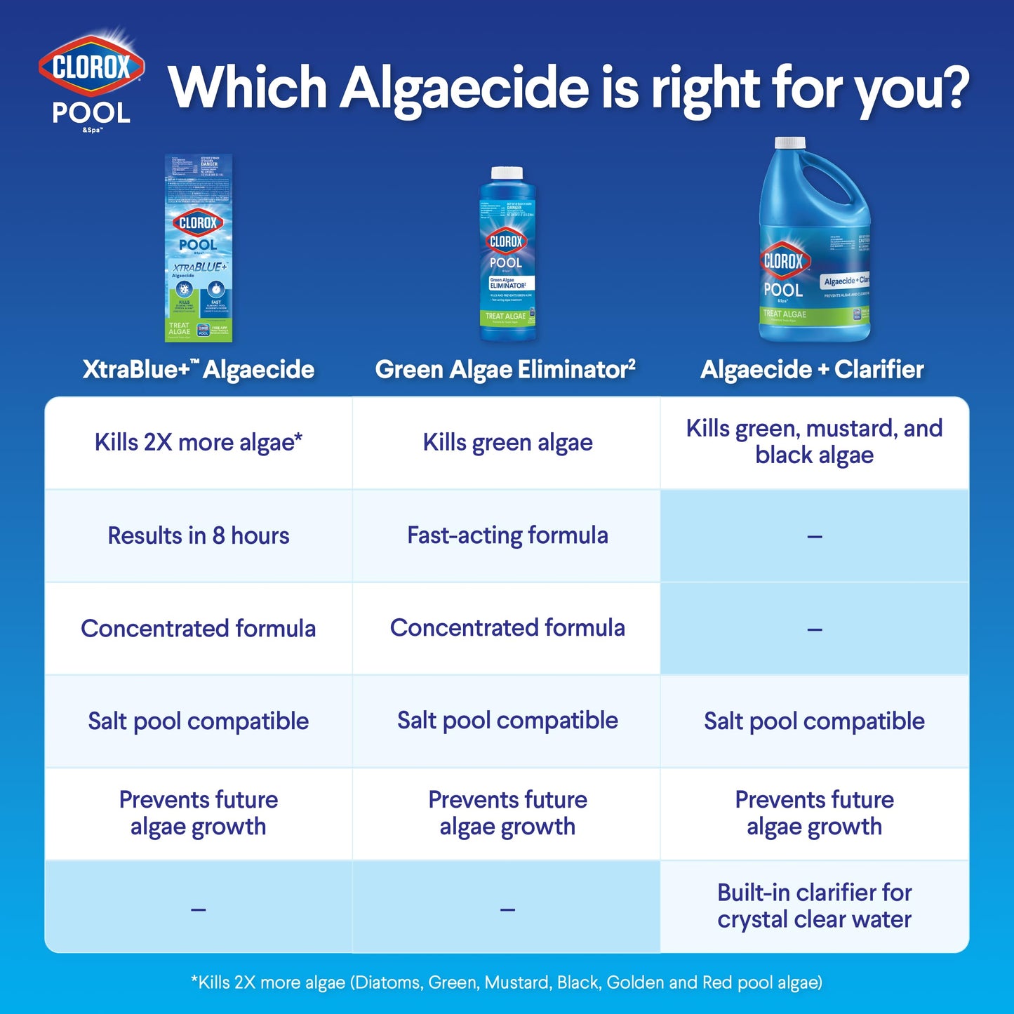 Clorox® Pool&Spa™ Swimming Pool Algaecide, Prevents and Treats Pool Algae, Non-Foaming, 1 Quart (Pack of 1)