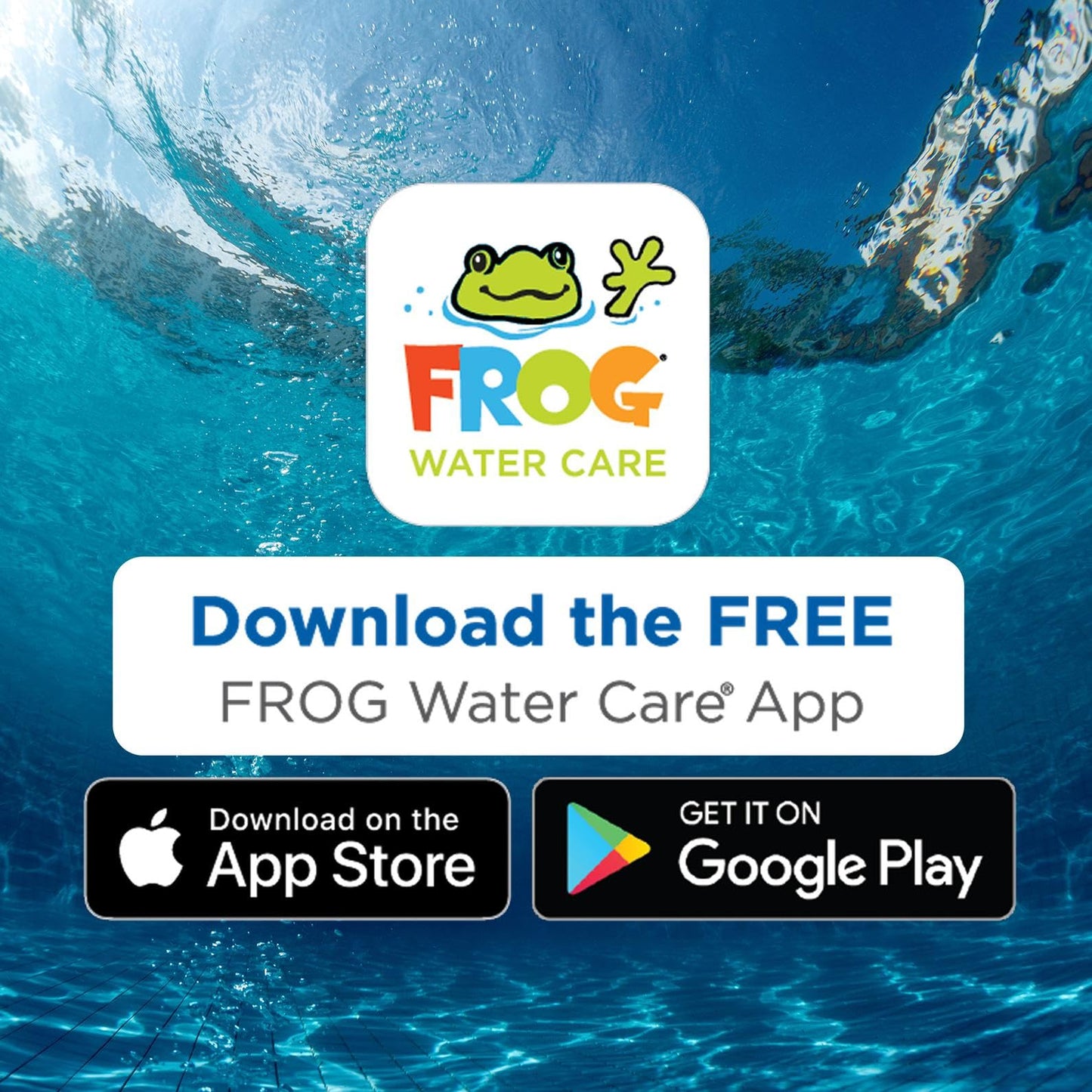 Flippin’ FROG Floating Sanitizer System for Pools 2,000 to 5,000 Gallons - Prefilled Floater with Sanitizing Minerals and Chlorine for Easy Pool Treatment & Maintenance - 4 Month Bundle