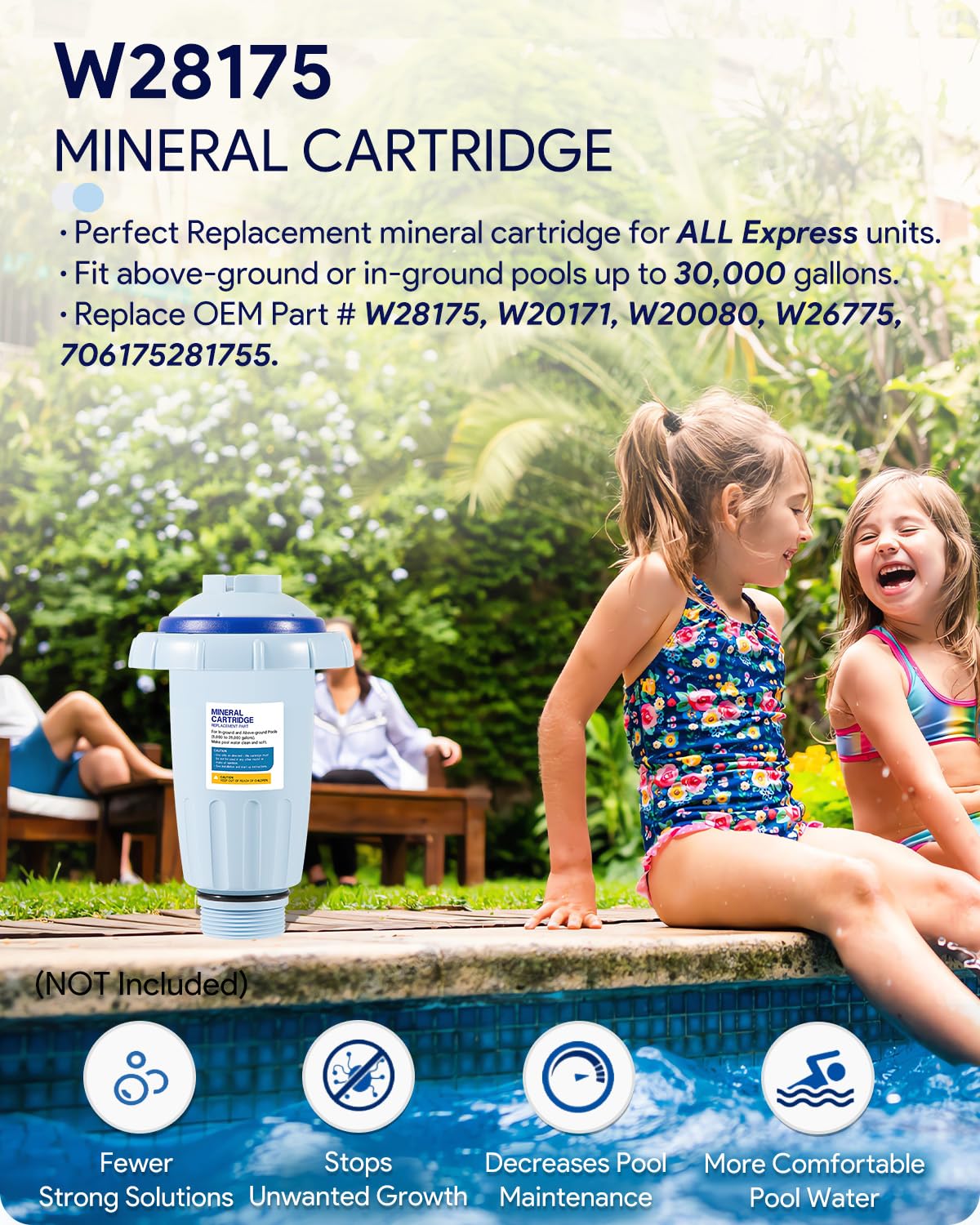 W28175 Replacement for Nature2 Express Mineral Cartridge for Pool System, for In-Ground & Above-Ground Pools up to 30,000 Gallons, W20171, W20080, W26775