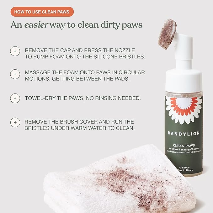 Dandylion Clean Paws Refill | No-Rinse Dog Paw Cleaner & Dog Paw Washer | Fragrance-Free, pH Balanced Foaming Cleanser with Silicone Bristle Brush | Designed for All Breeds & Sizes | 10 fl oz