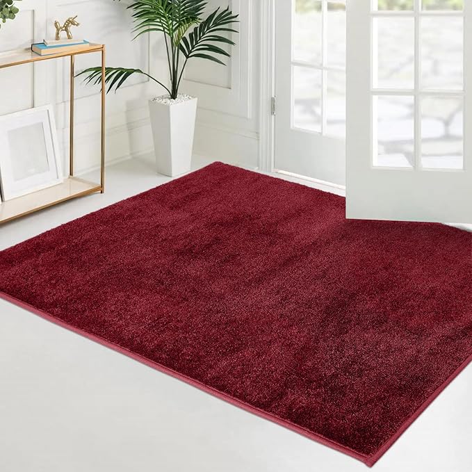 PURRUGS Easy Care Area Rug 4ft x 6ft, Non-Slip Machine Washable Entryway Rug, Dog Door Mat, Stain Resistant Accent Rug for Hallway, Living Room, Bedroom and Mudroom, Burgundy Red