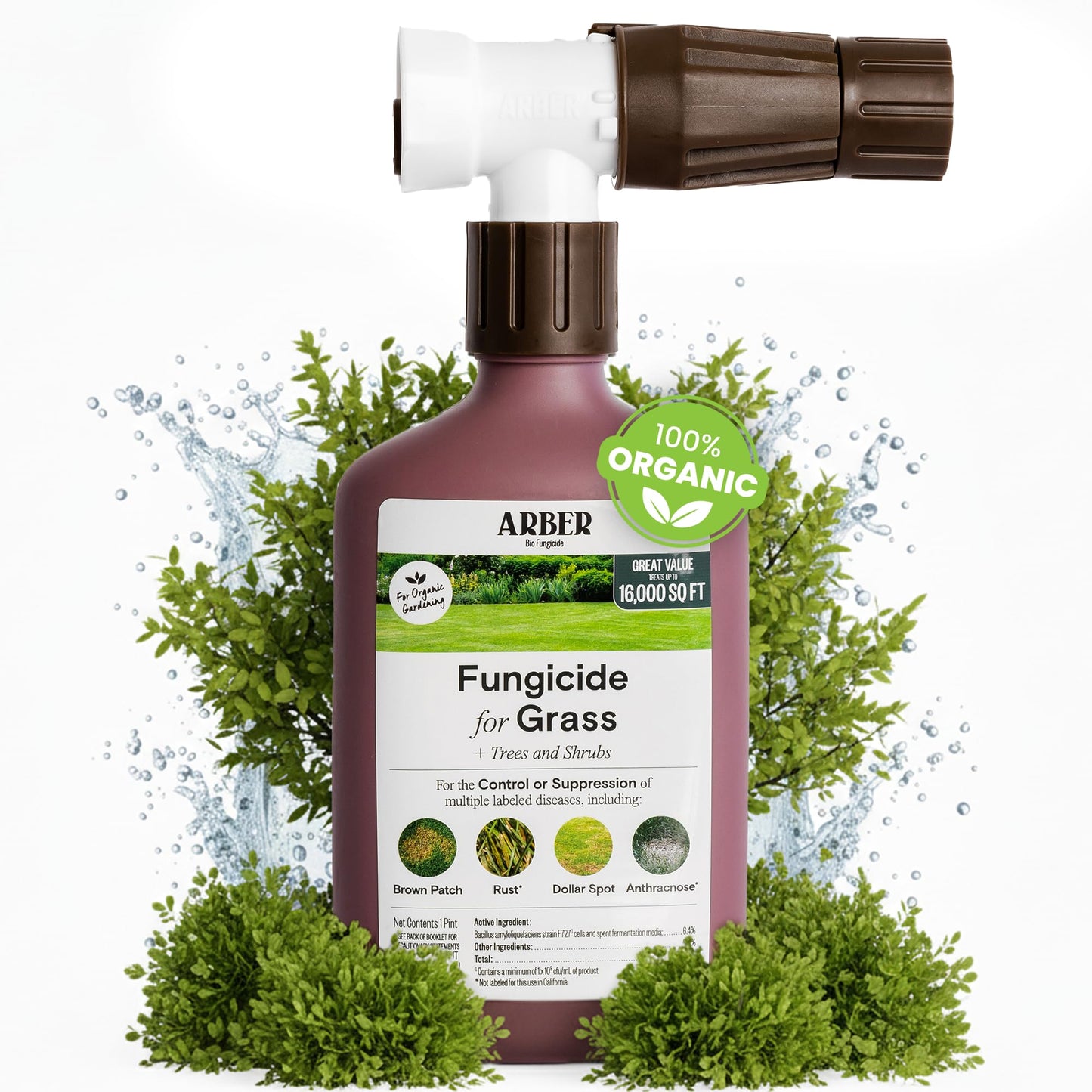 Organic Lawn Fungicide â 16oz Ready-to-Spray Hose-End; Lawns, Trees & Shrubs â Targets Brown Patch, Dollar Spot, Rust, Powdery Mildew & Root Rot â Kid- & Pet-Safe; Coverage up to 16,000 sq ft