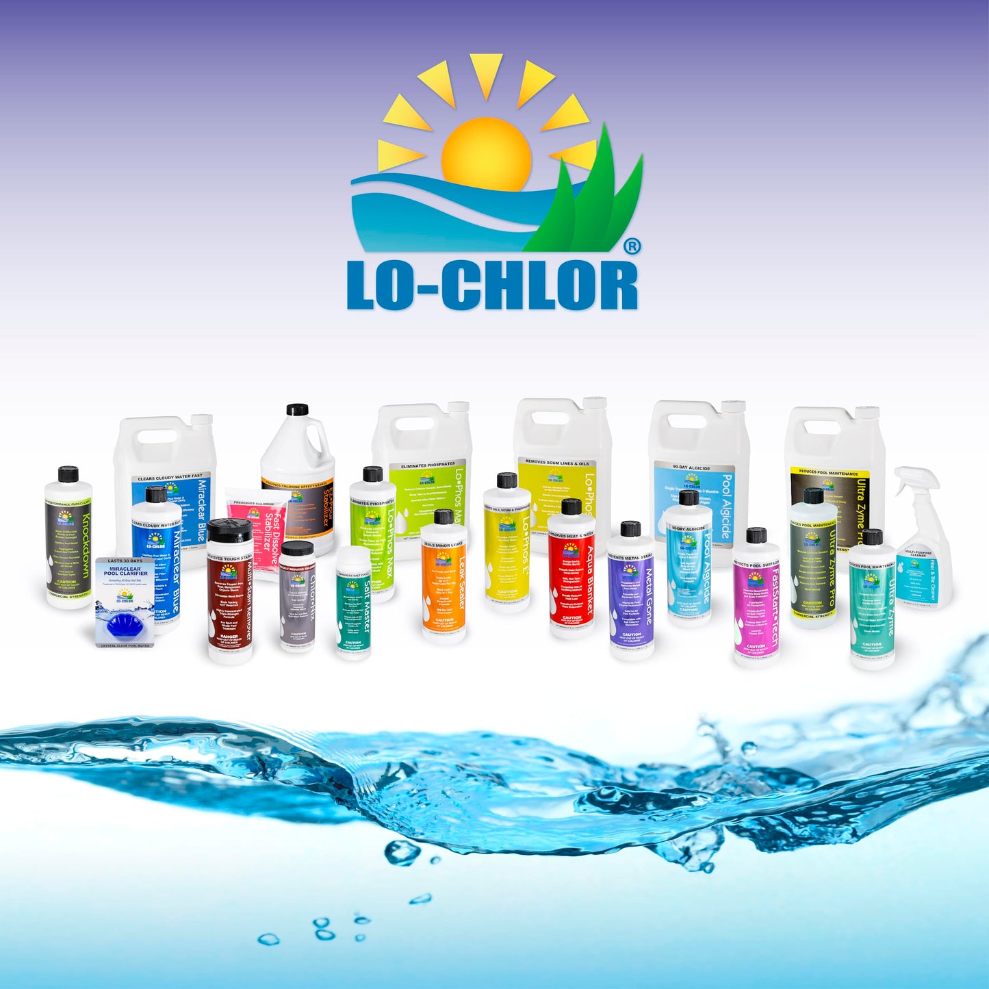 Lo-Chlor Pool Algaecide, 90-Day Single Treatment, Organo-Copper Complex, Black Mustard Green Algae Killer for Inground and Above Ground Swimming Pool, 32 oz, Treats 20,000 Gallons