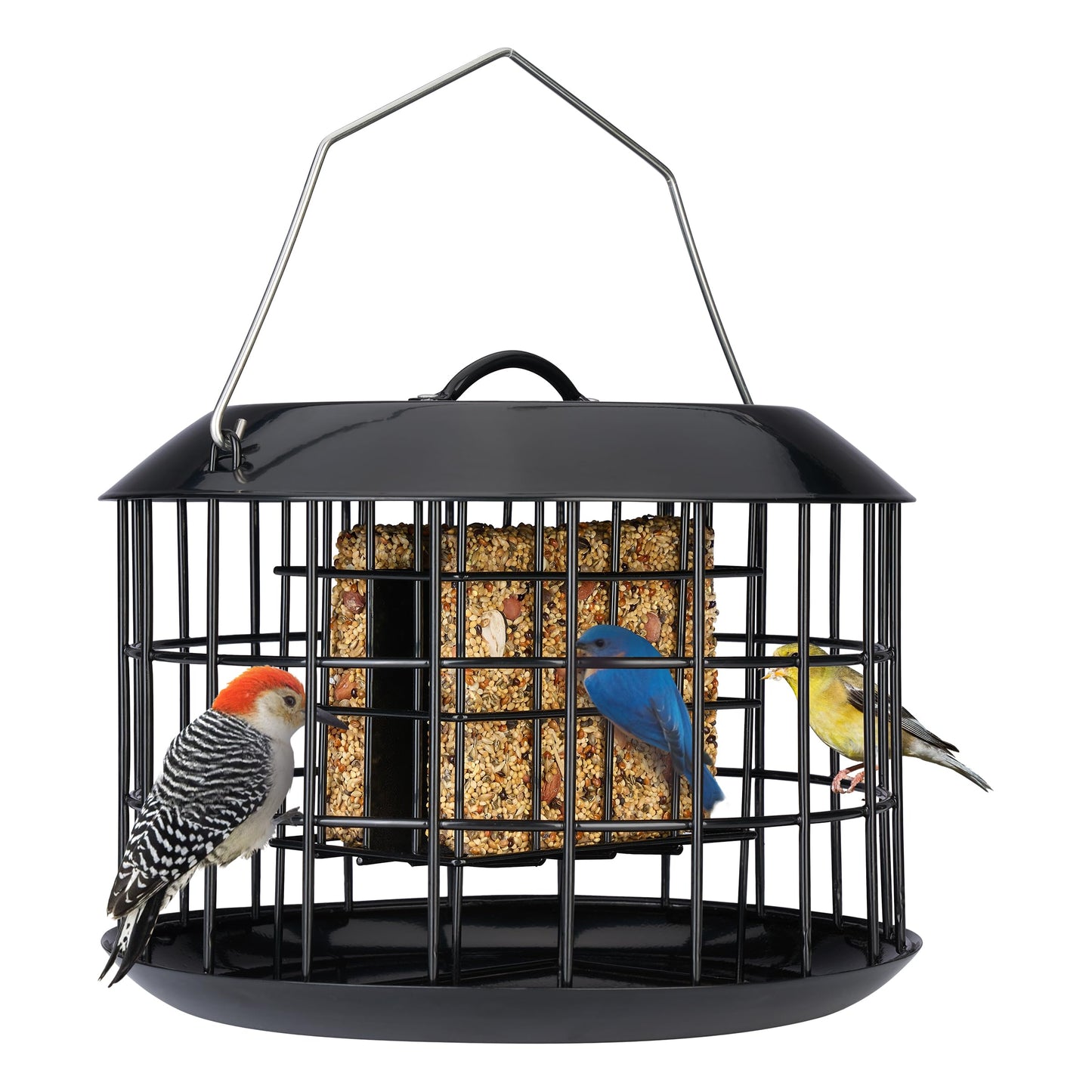 Kingsyard Squirrel Proof Suet Feeder, Cage Bird Feeders for Outdoors Hanging, All Metal, Double Suet Cake Capacity, Tray & Weatherproof, Black