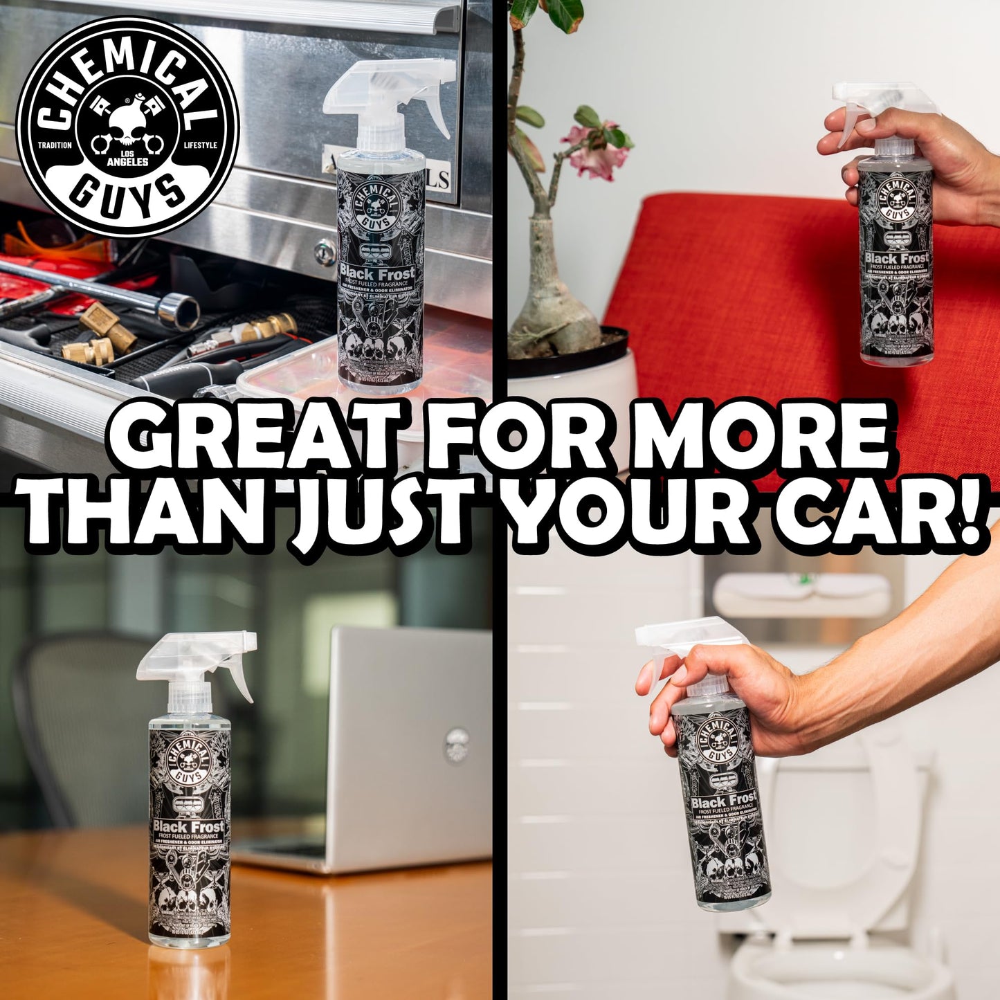 Chemical Guys AIR_302 Black Frost Scent and Signature Scent Combo Pack, Great for Cars, Trucks, SUVs, RVs, Home, Office & More (2-16 Fl Oz Items)