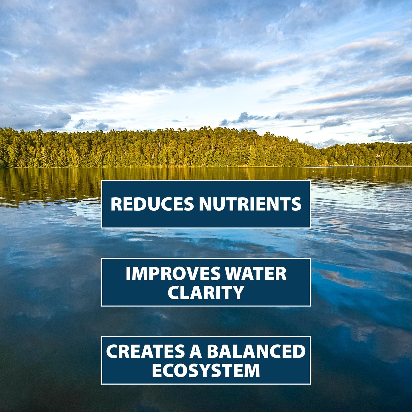 Airmax PondClear Packets, Beneficial Bacteria & Enzyme Clarifier Treatment with Ecoboost PRx, Clear & Clean Pond & Lake Water, Safe for Fish, 96 Count
